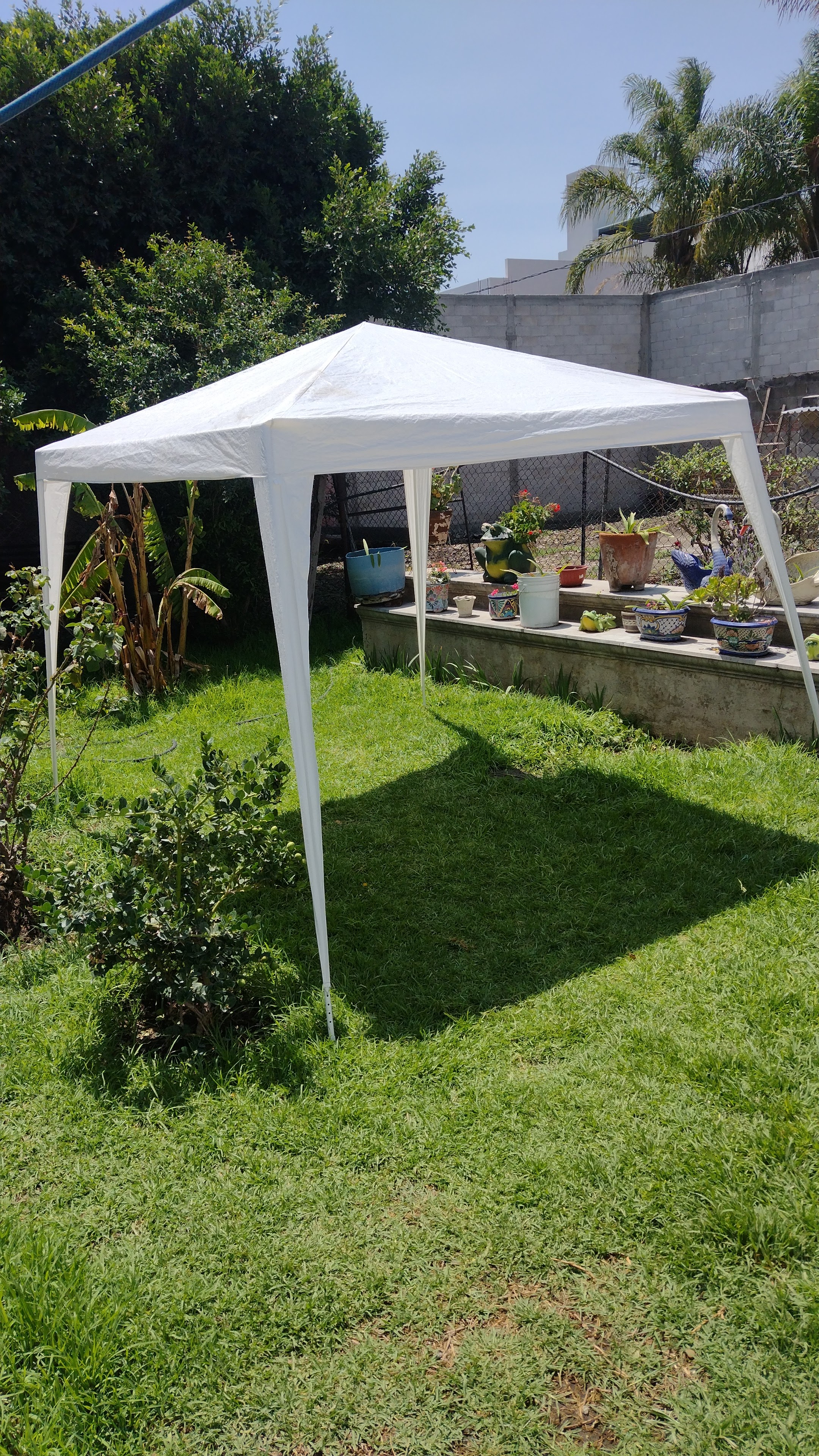 Biglietti Dei Nonni image 6