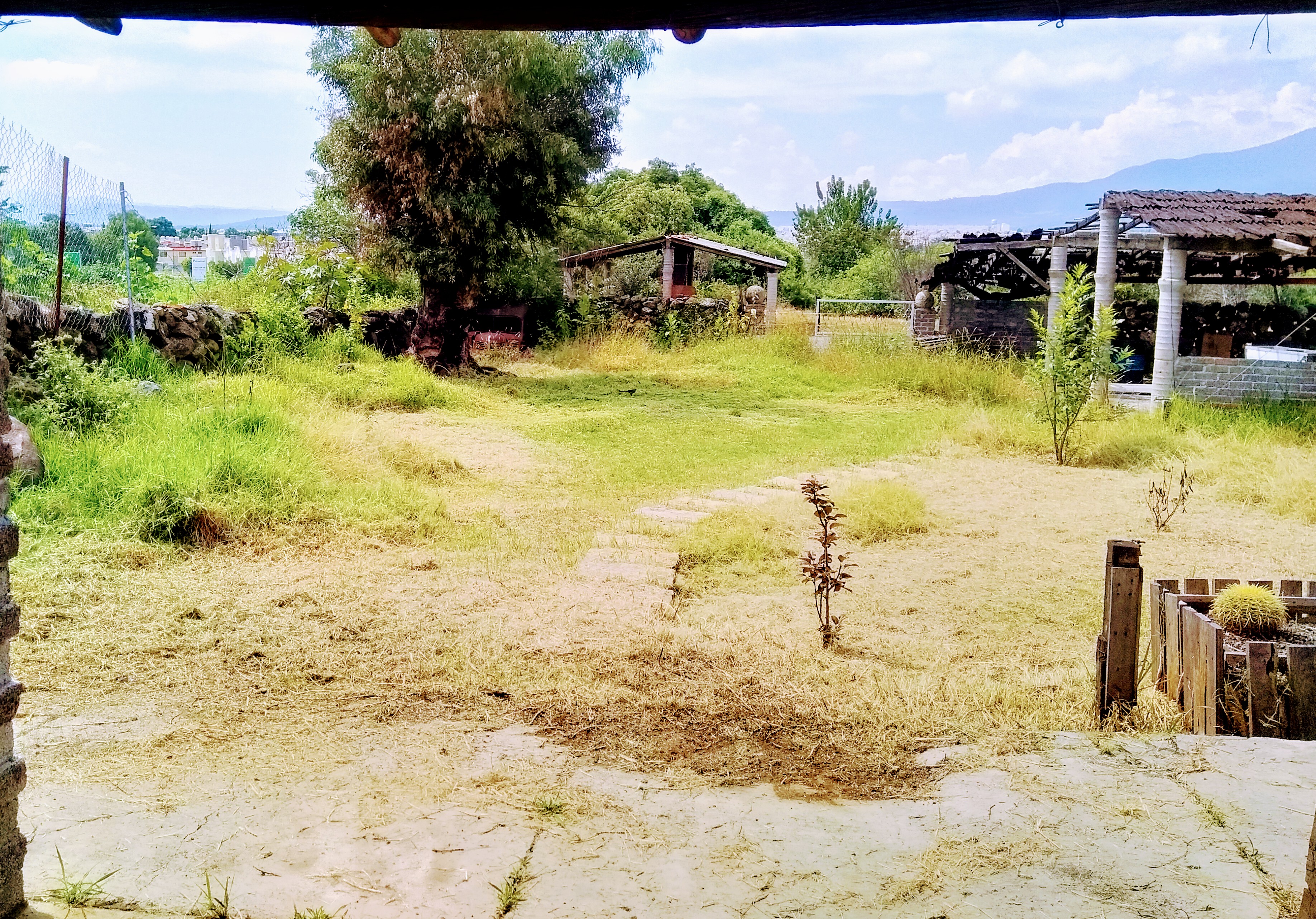 El Caminante image 3