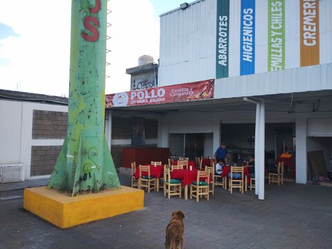 El Pollazo image 3