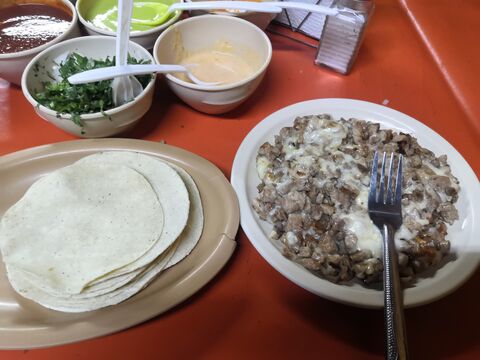 Taqueria Don Checo image 7