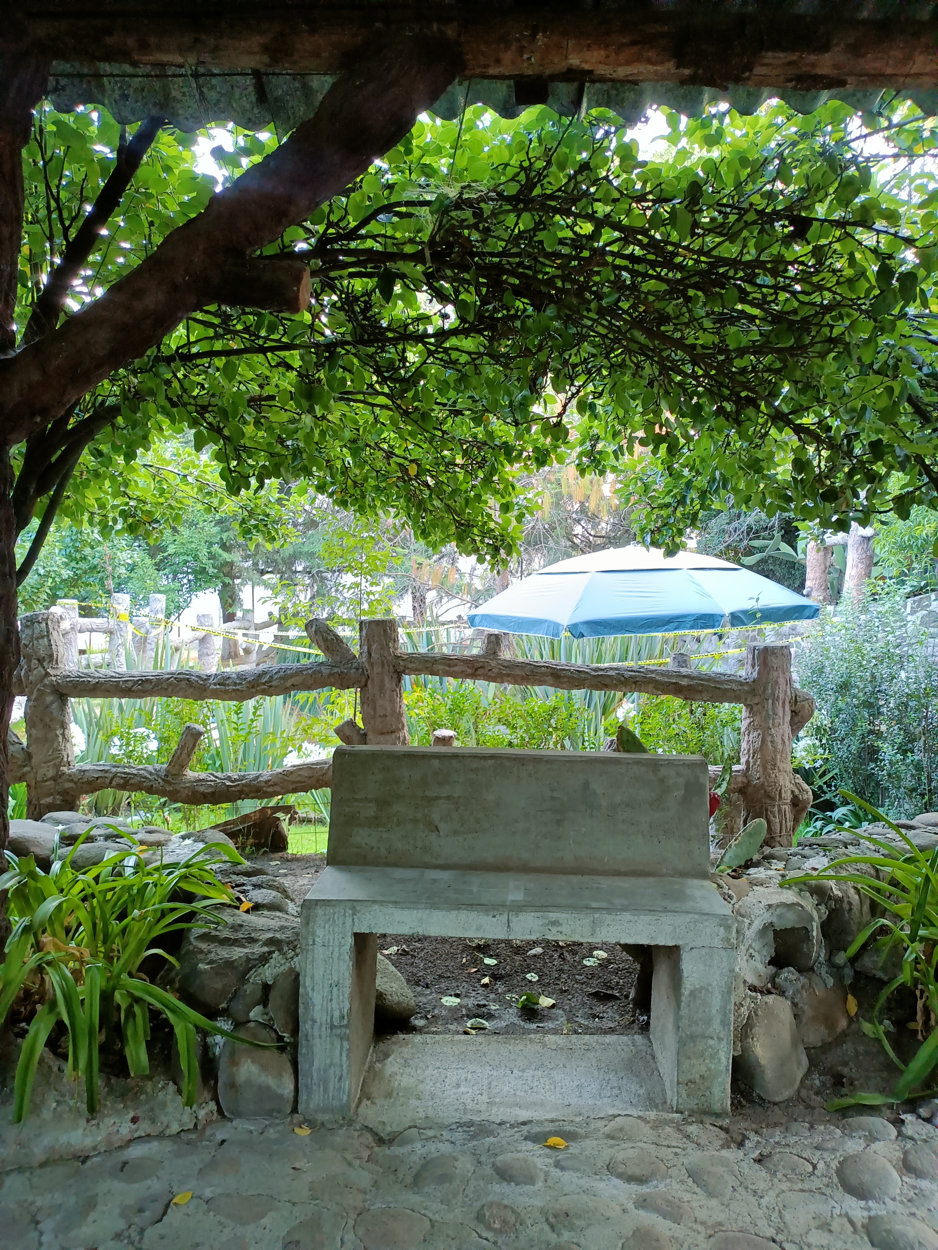 La Cabañita image 10