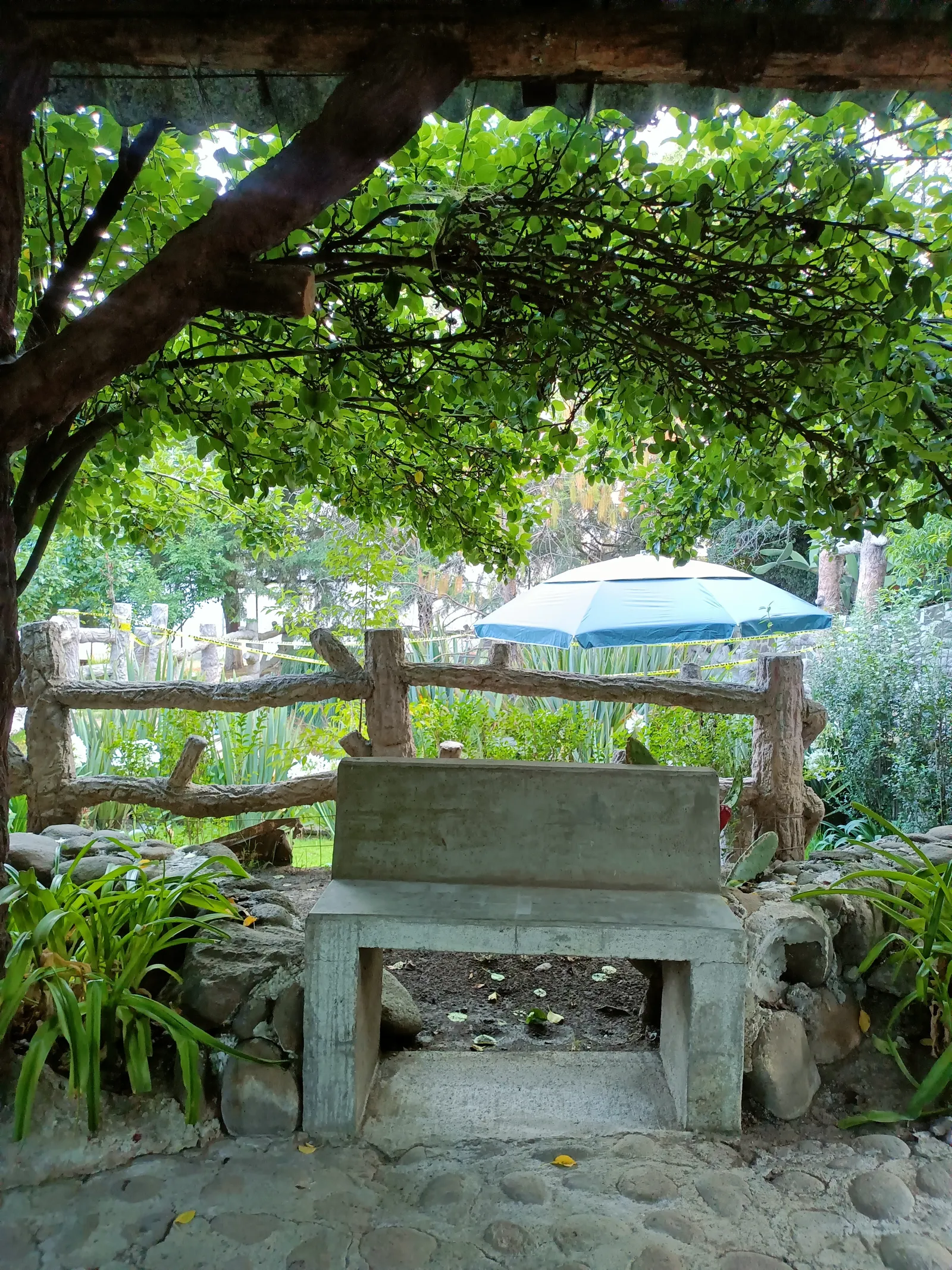 La Cabañita image 10