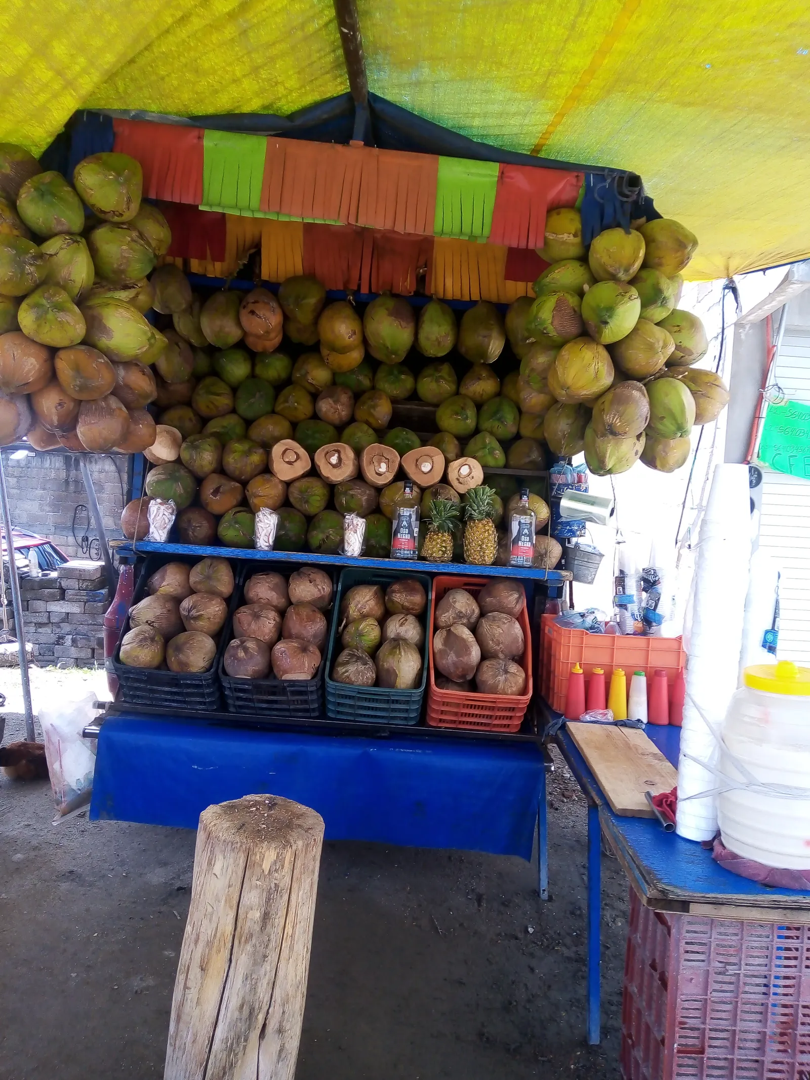 Cocos locos image 1