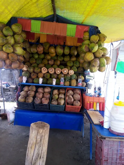 Cocos locos image 1