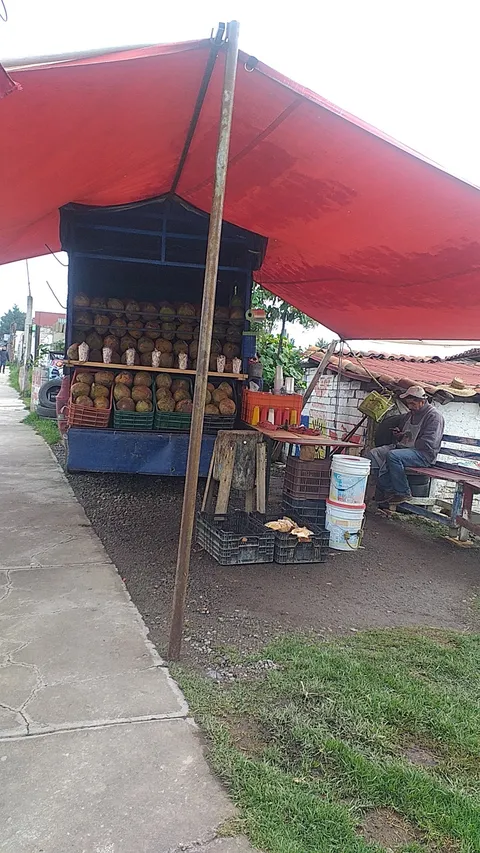 Cocos locos image 2