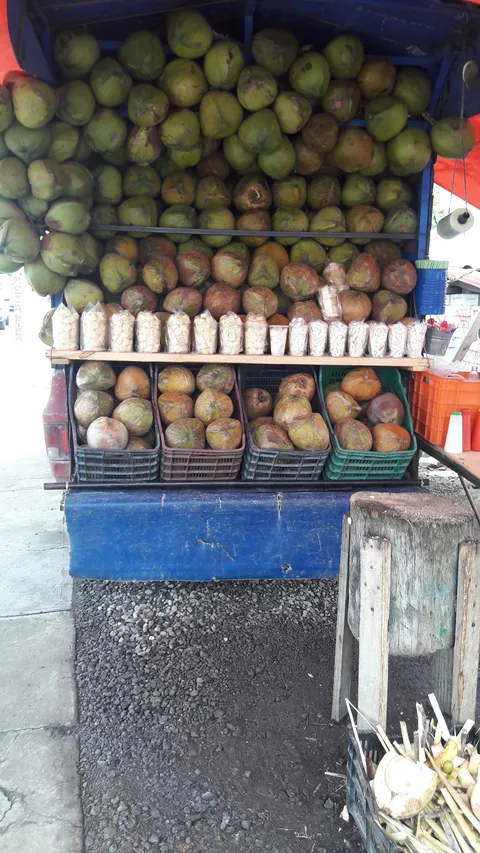 Cocos locos image 3