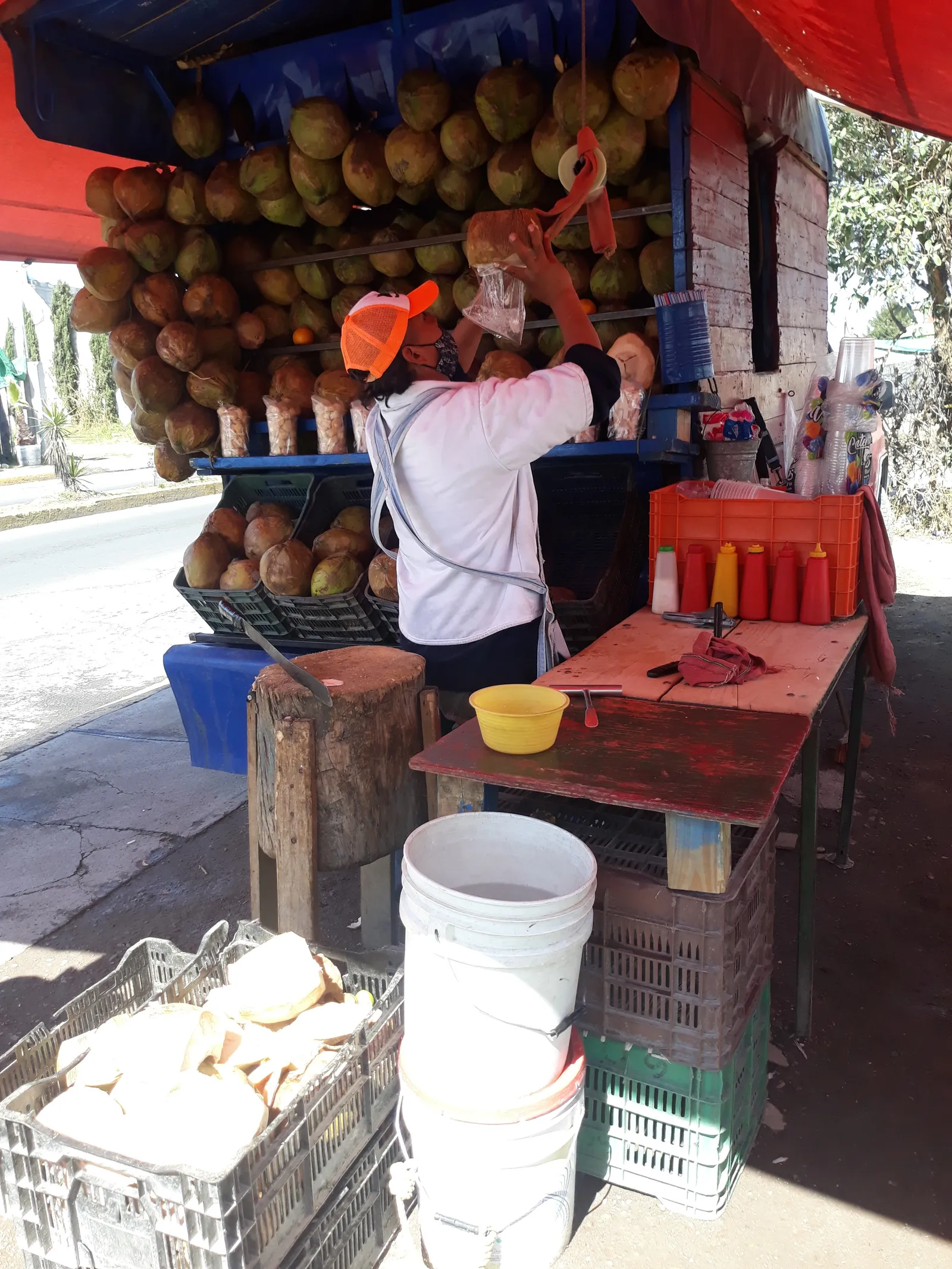 Cocos locos image 4