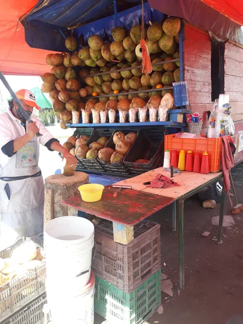 Cocos locos image 5
