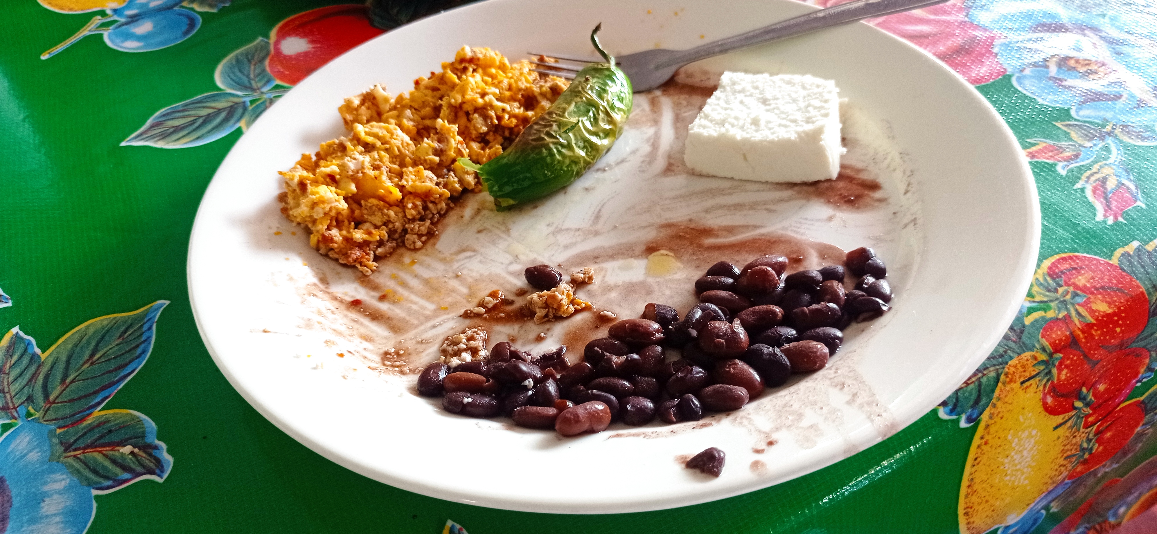 LA PANZA ES PRIMERO. TAMASOPO. image 2