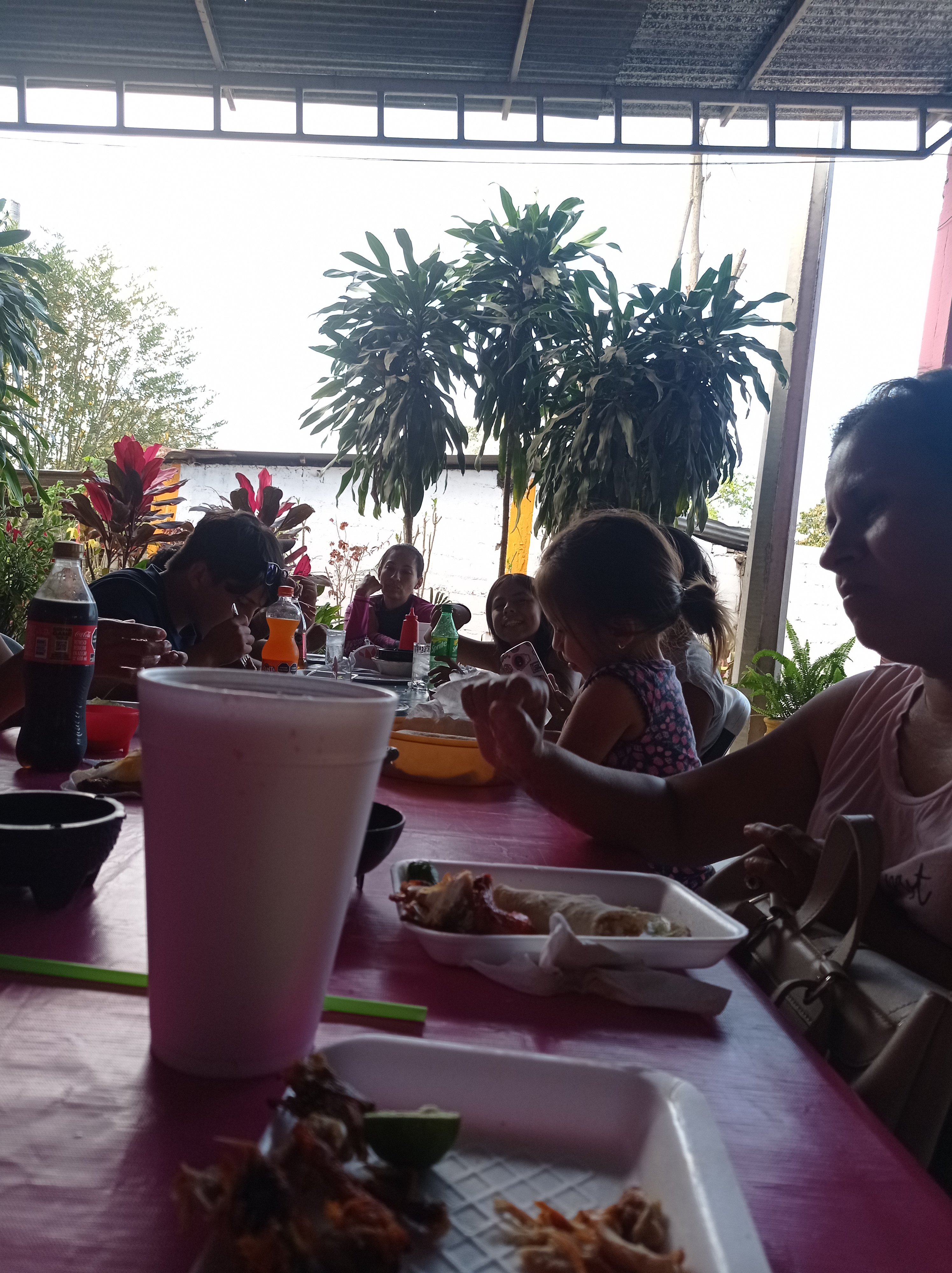 LA PANZA ES PRIMERO. TAMASOPO. image 5