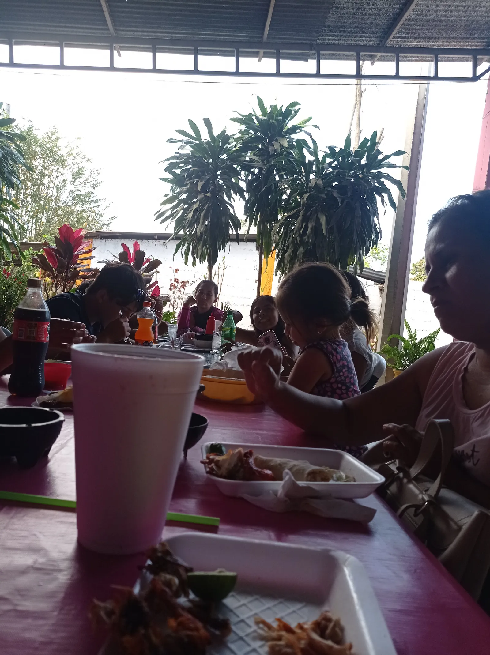 LA PANZA ES PRIMERO. TAMASOPO. image 5