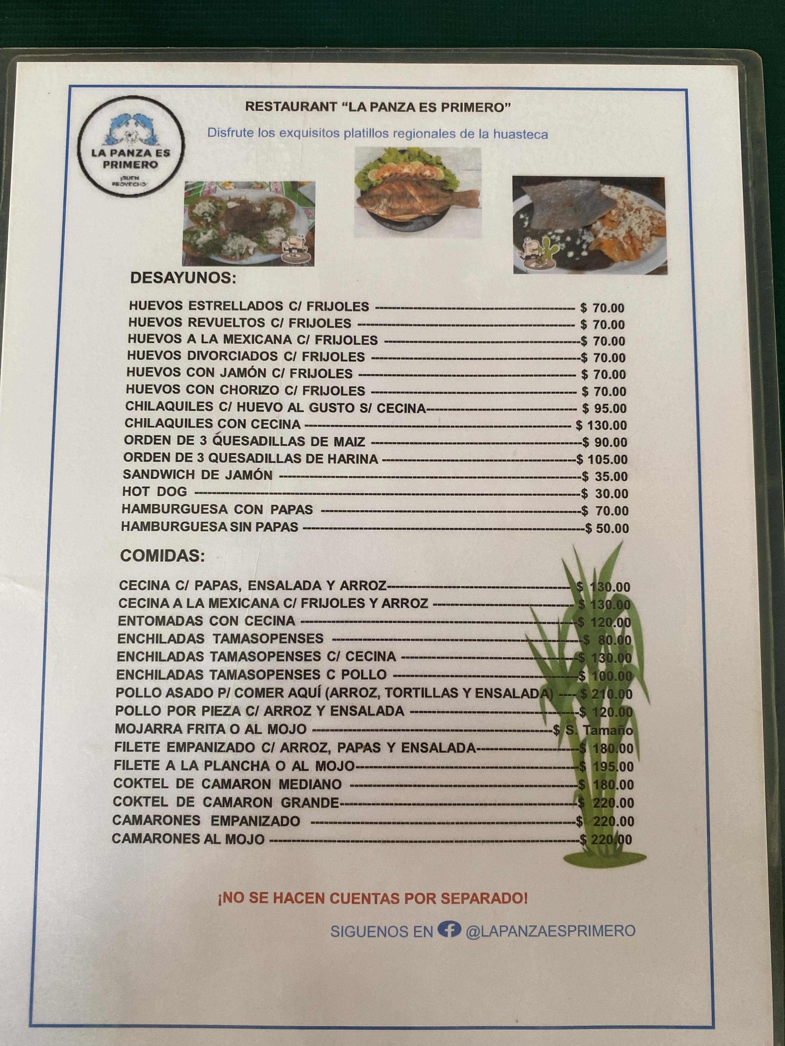 LA PANZA ES PRIMERO. TAMASOPO. image 6