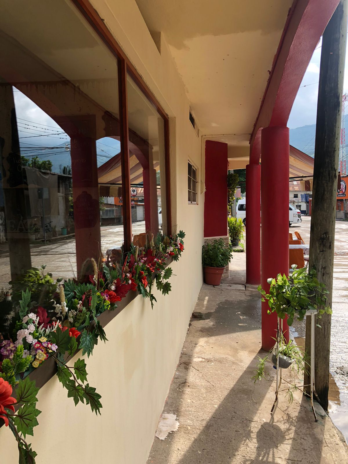 Pilatos coffee image 6