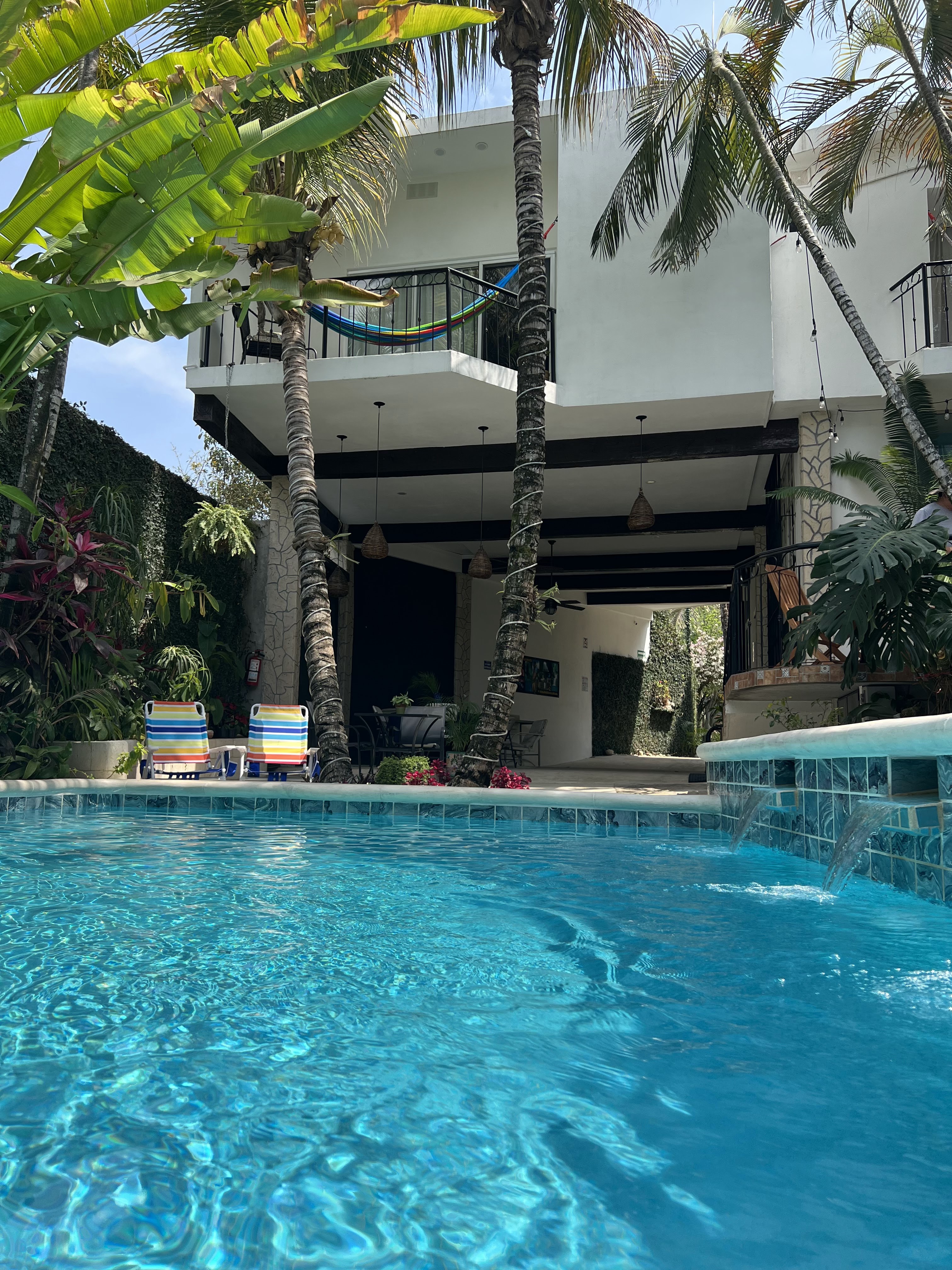 Taqueria la Pasadita image 2