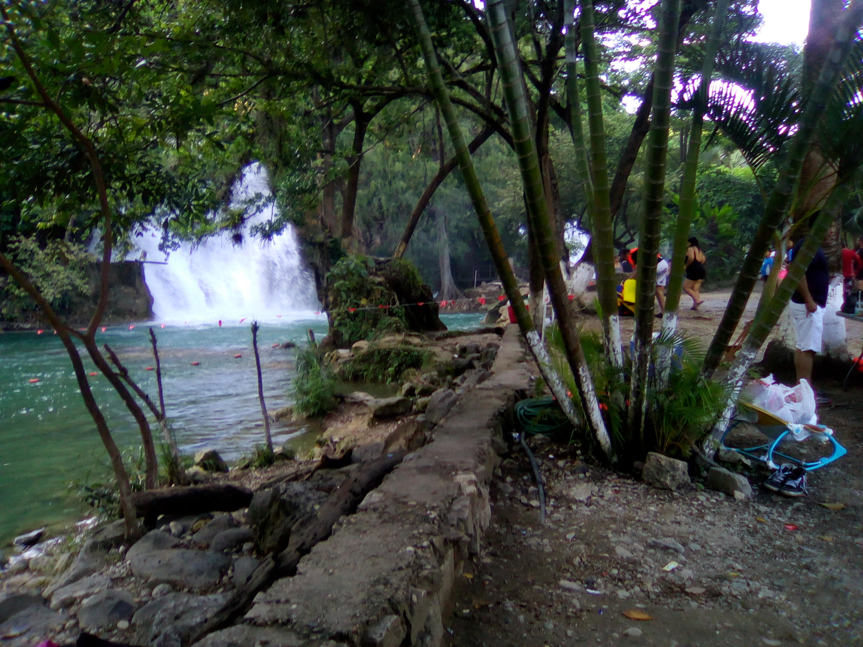 Taqueria la Pasadita image 3