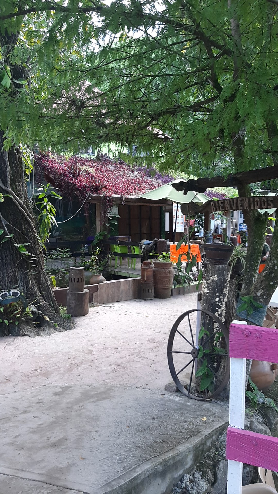 Taqueria la Pasadita image 9