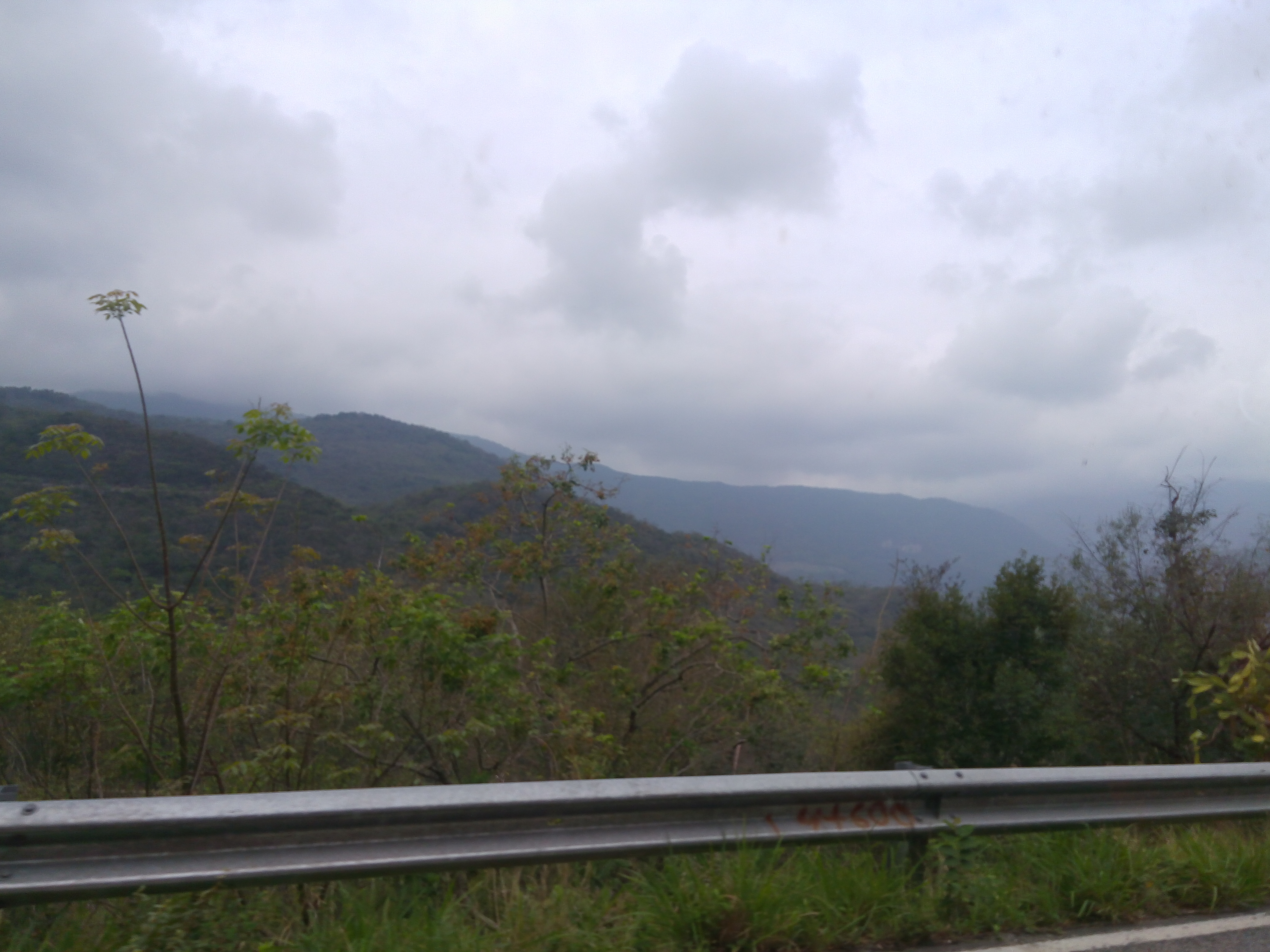 Taqueria la Pasadita image 10