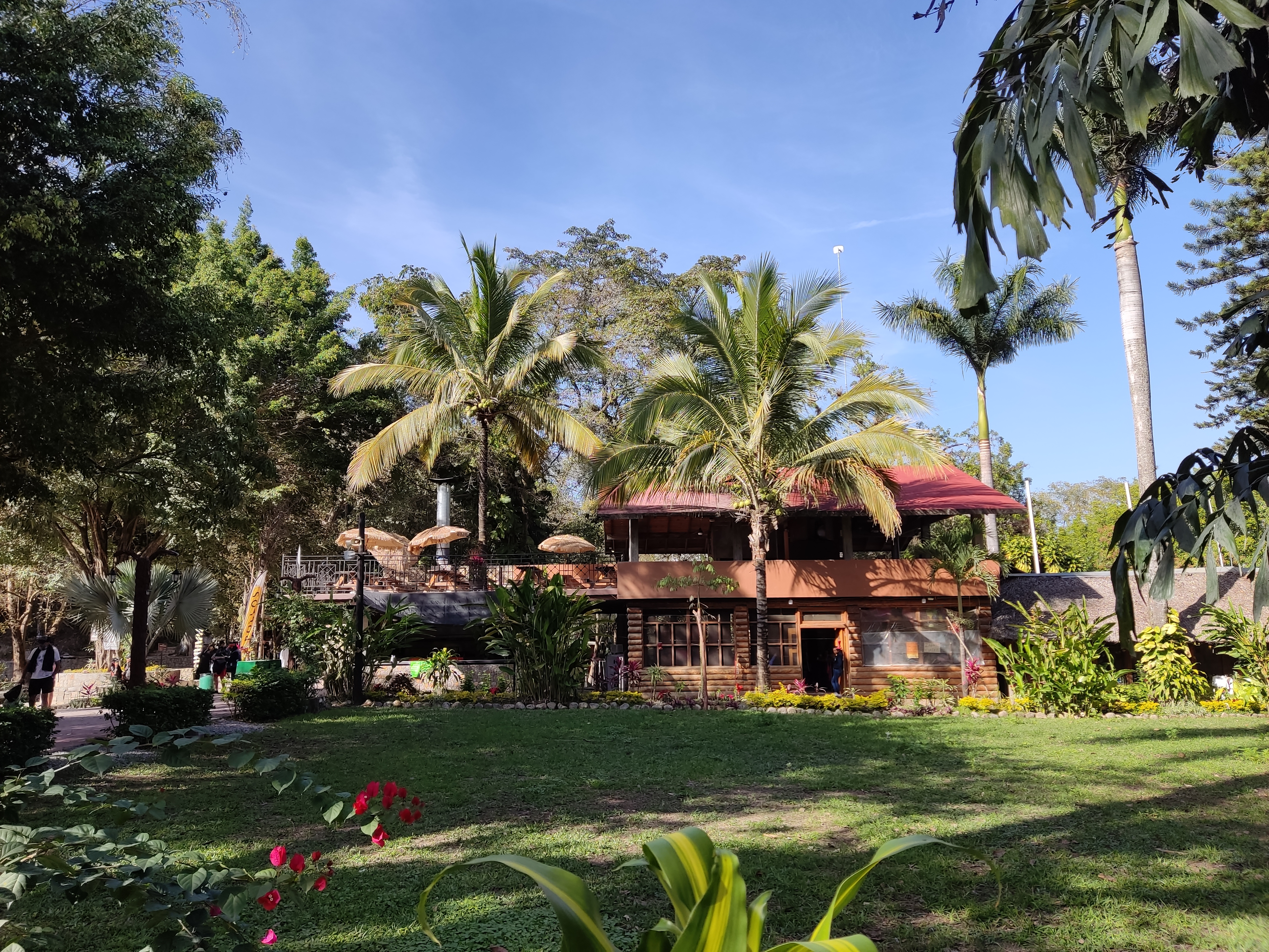 Restaurante Los Pollitos image 5