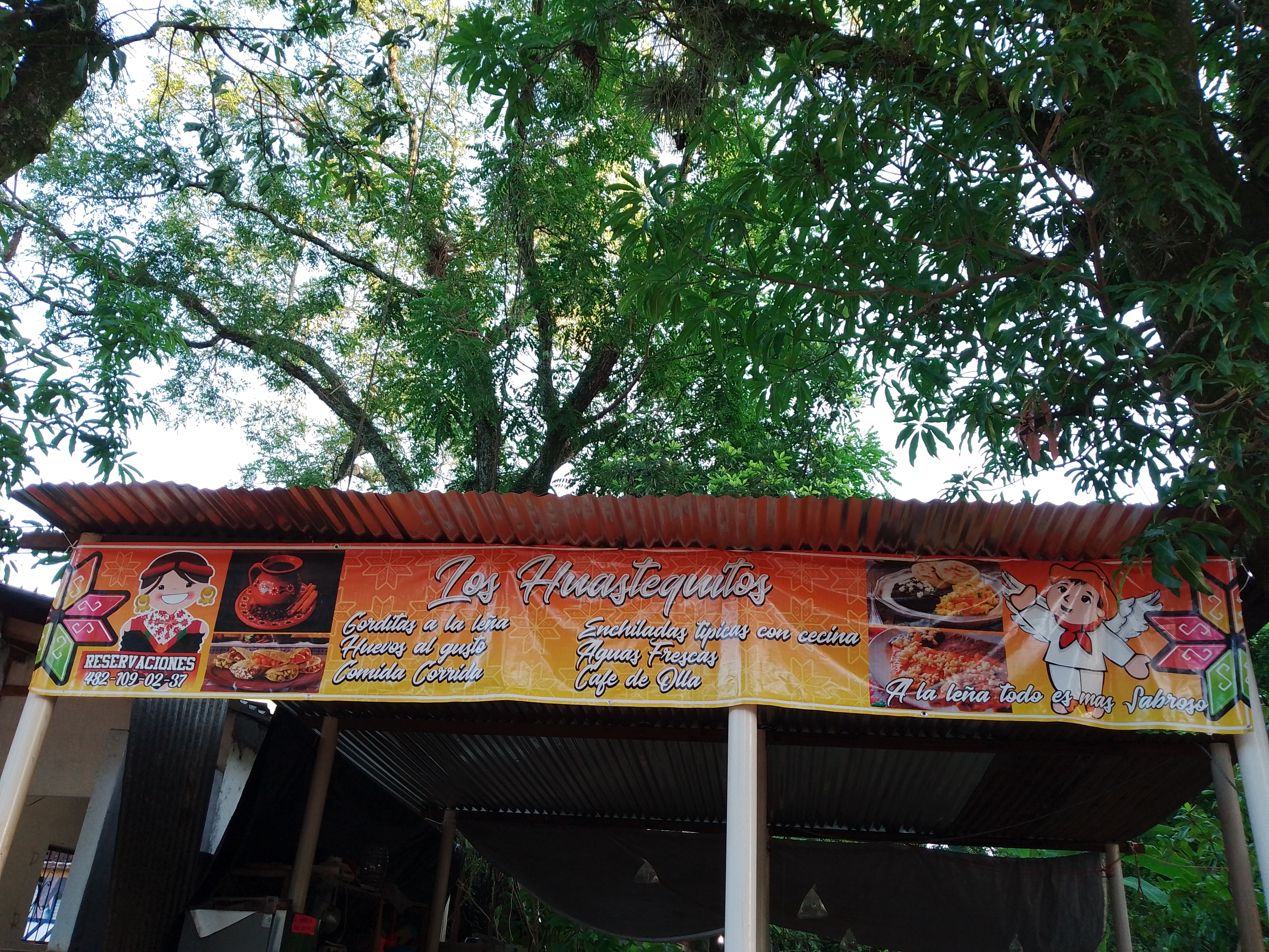 Los Huastequitos image 4