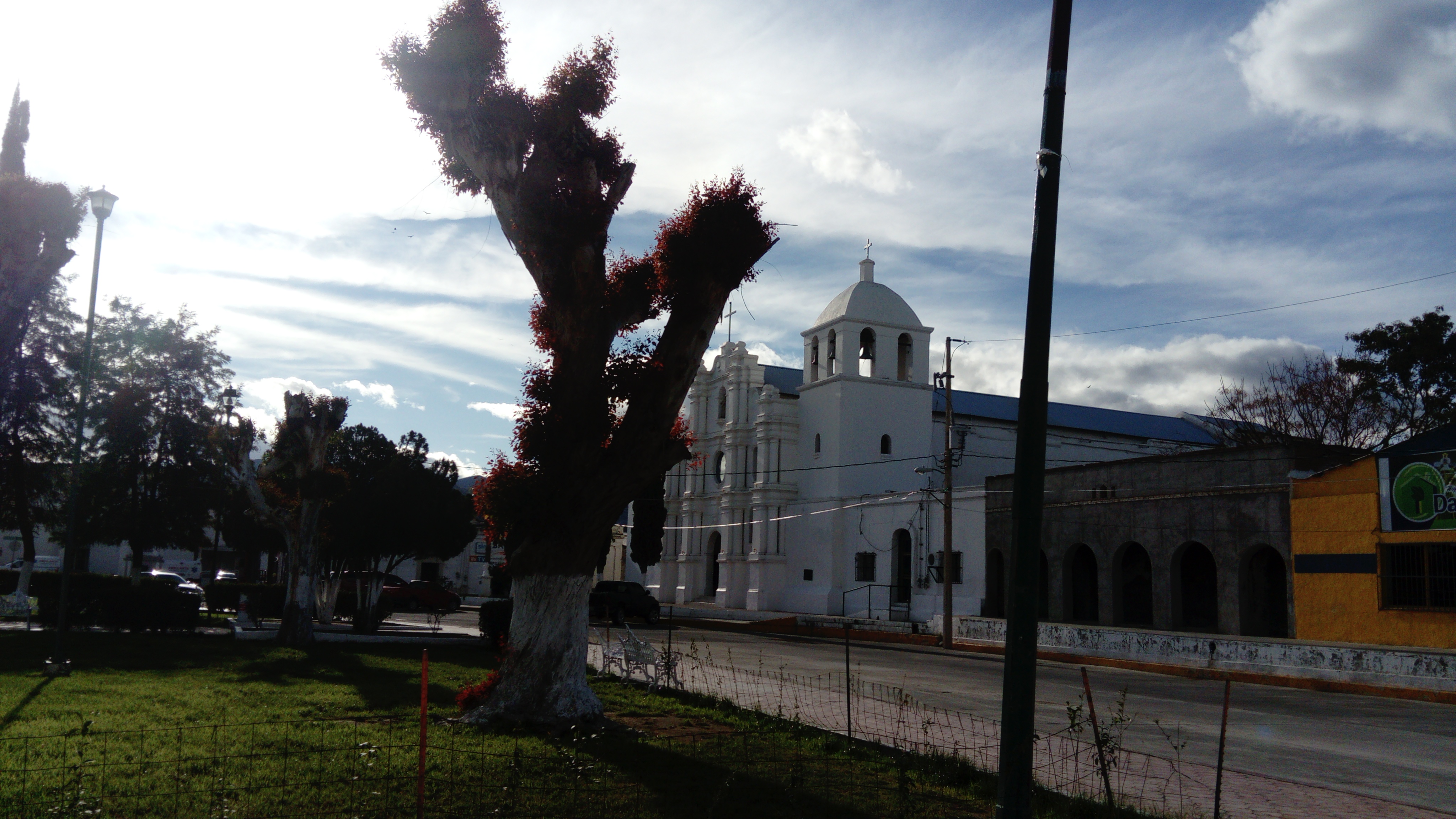 Restaurant La Herradura image 8
