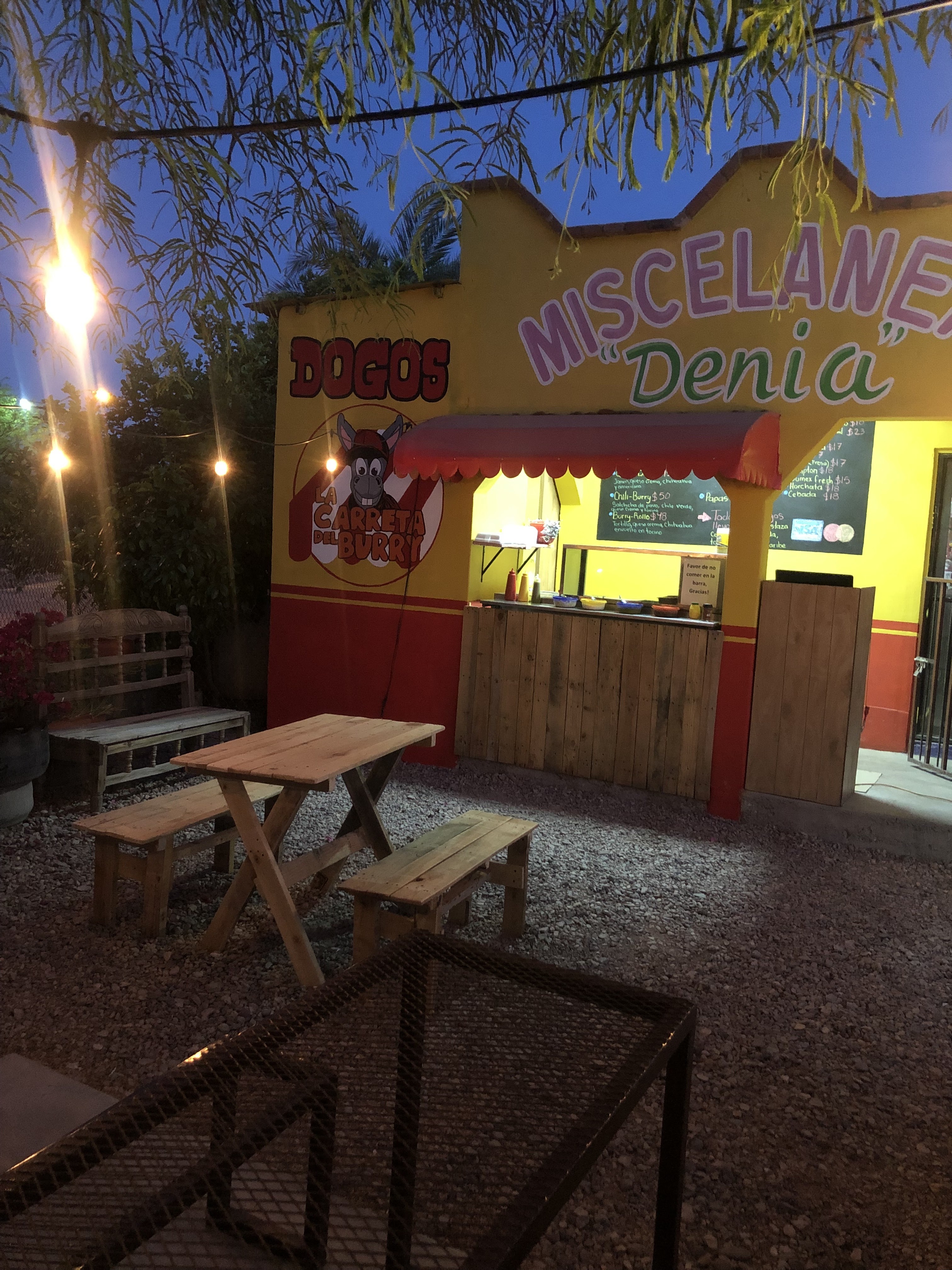 Los Dogos del Burry image 1