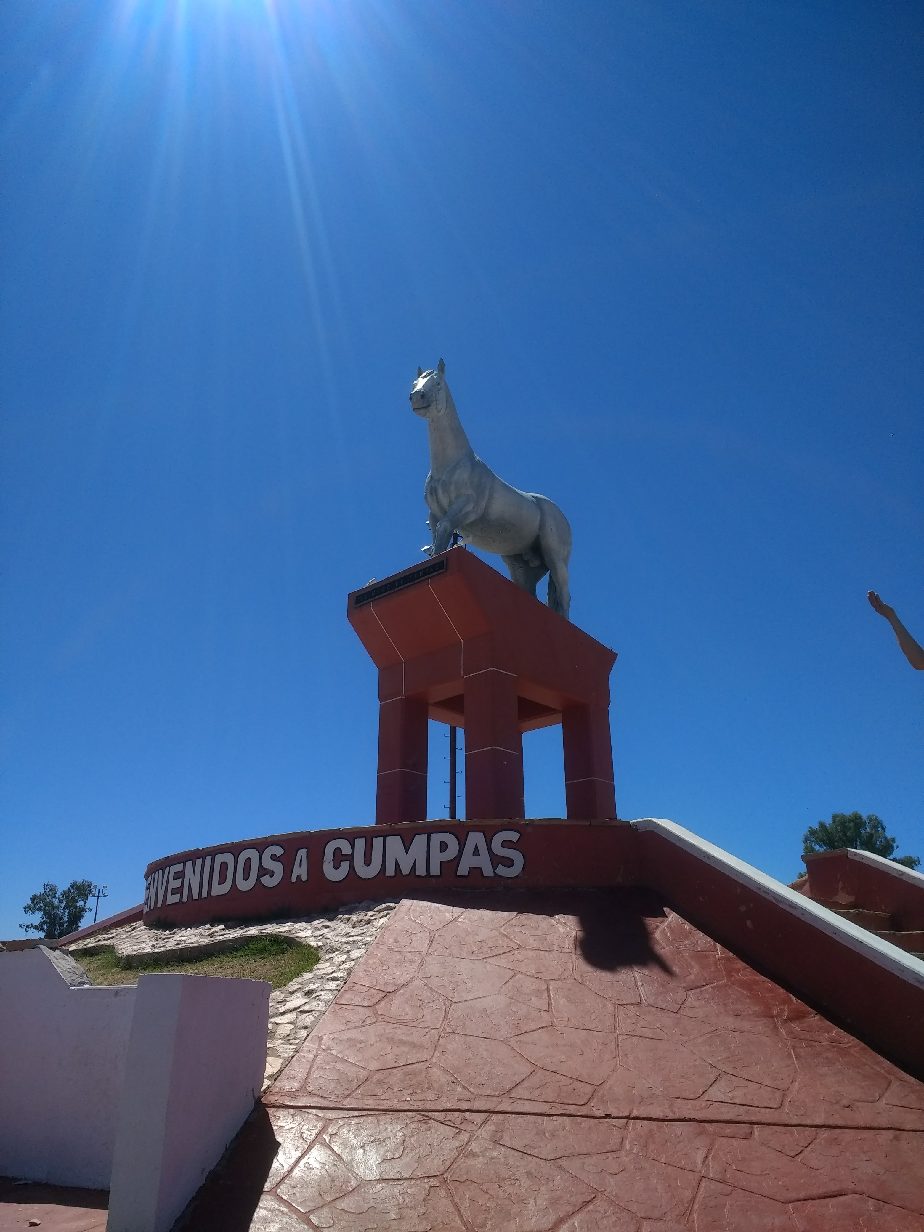 Macarroni Ristorante Pizzeria image 5