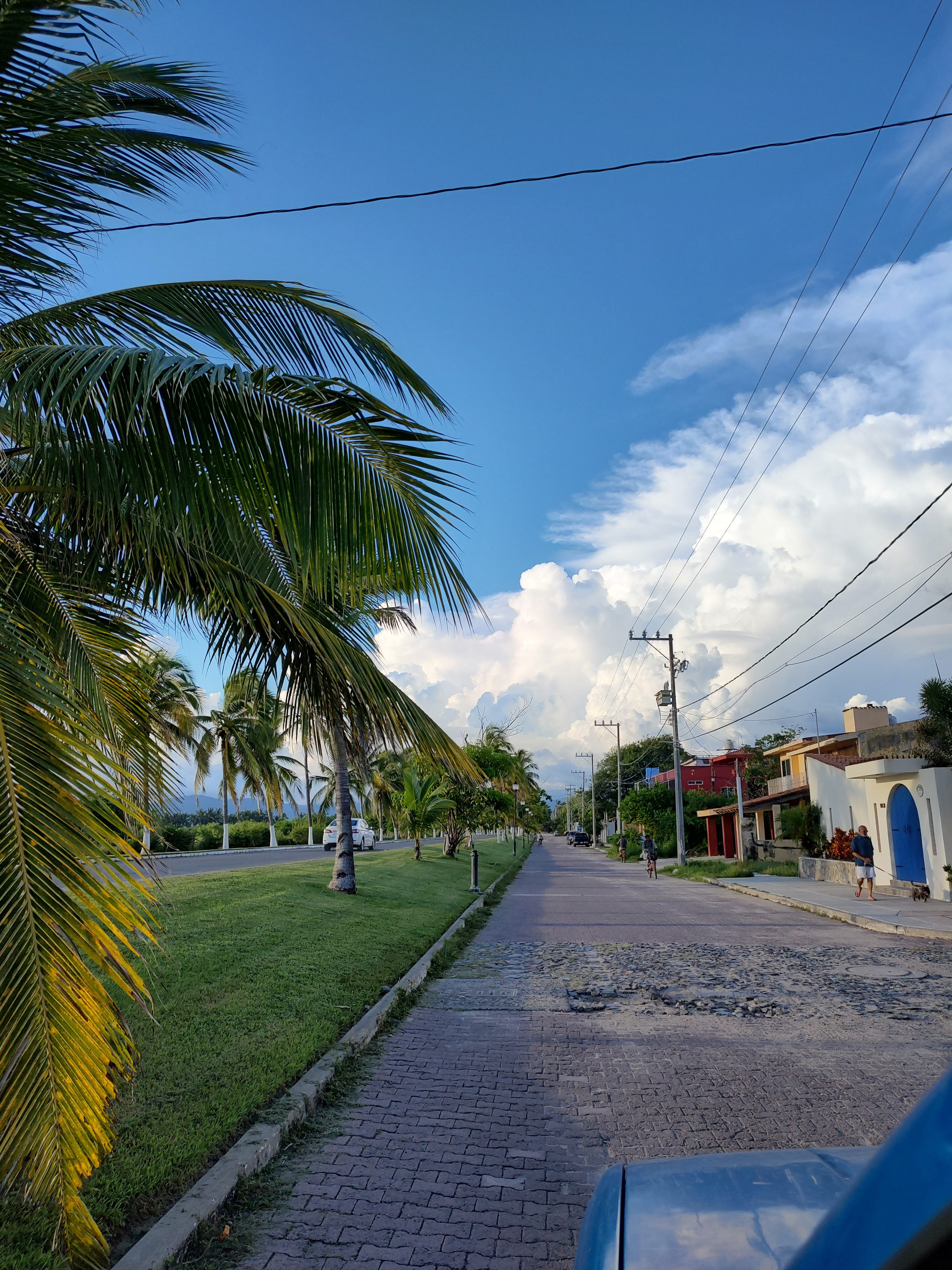 Minerva Asadero Al Pastor & Grill image 9