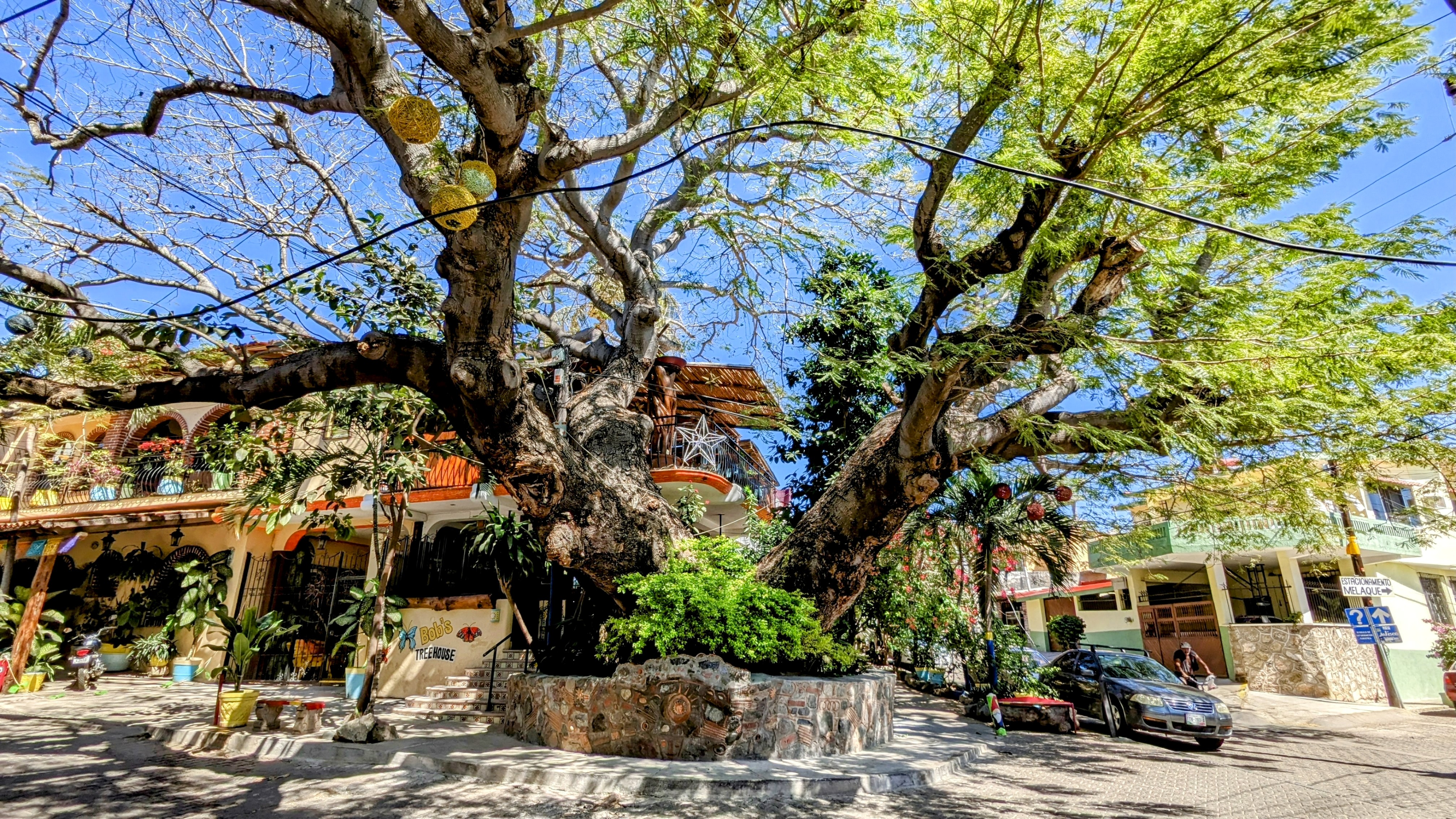 Bob's Treehouse image 3