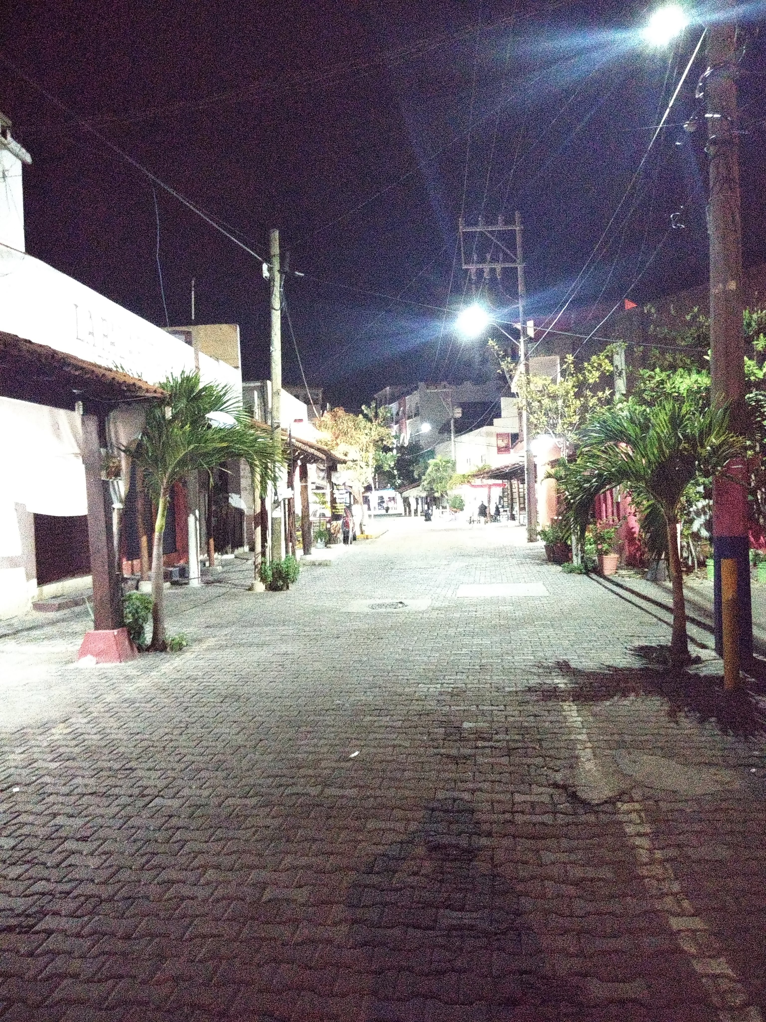 Sea master barra de navidad image 7