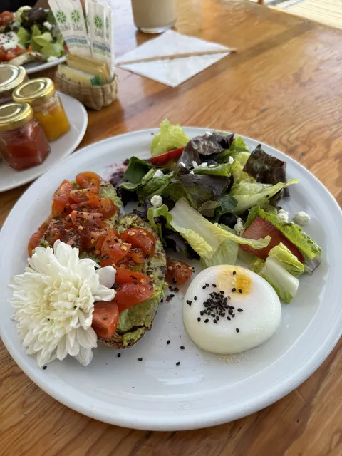 Mango Café image 3