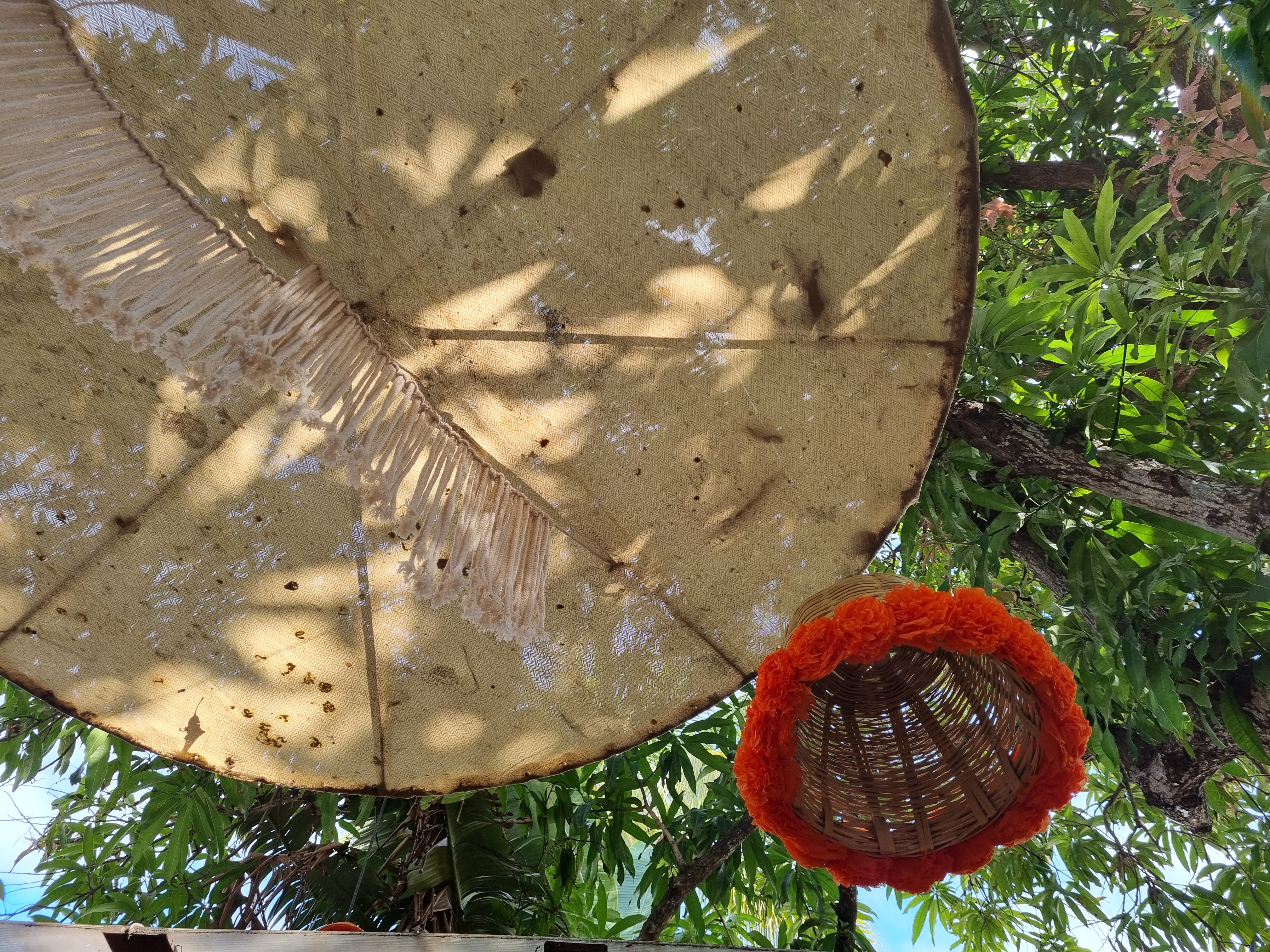 Mango Café image 10