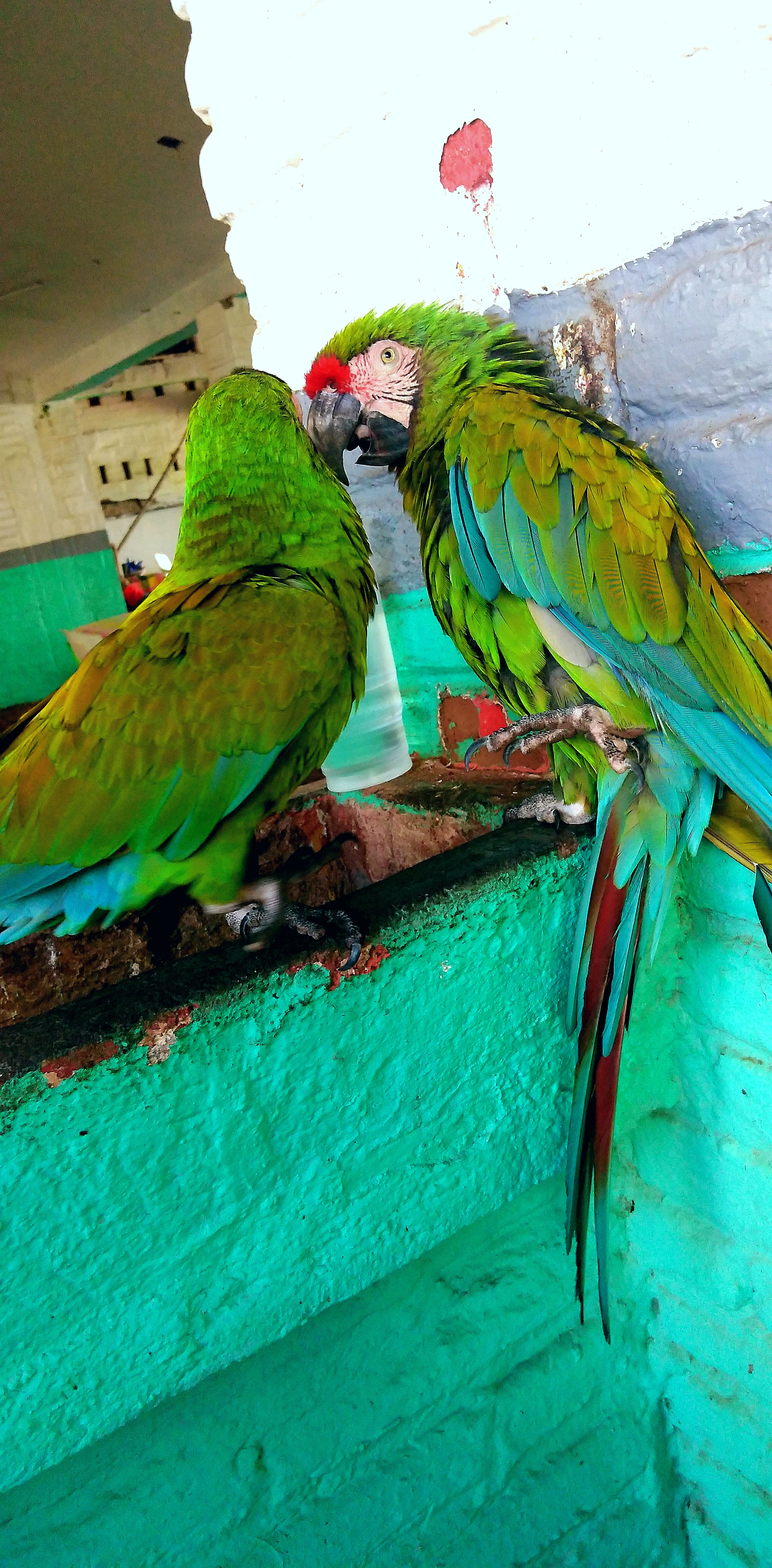 Restaurante Pancho image 4