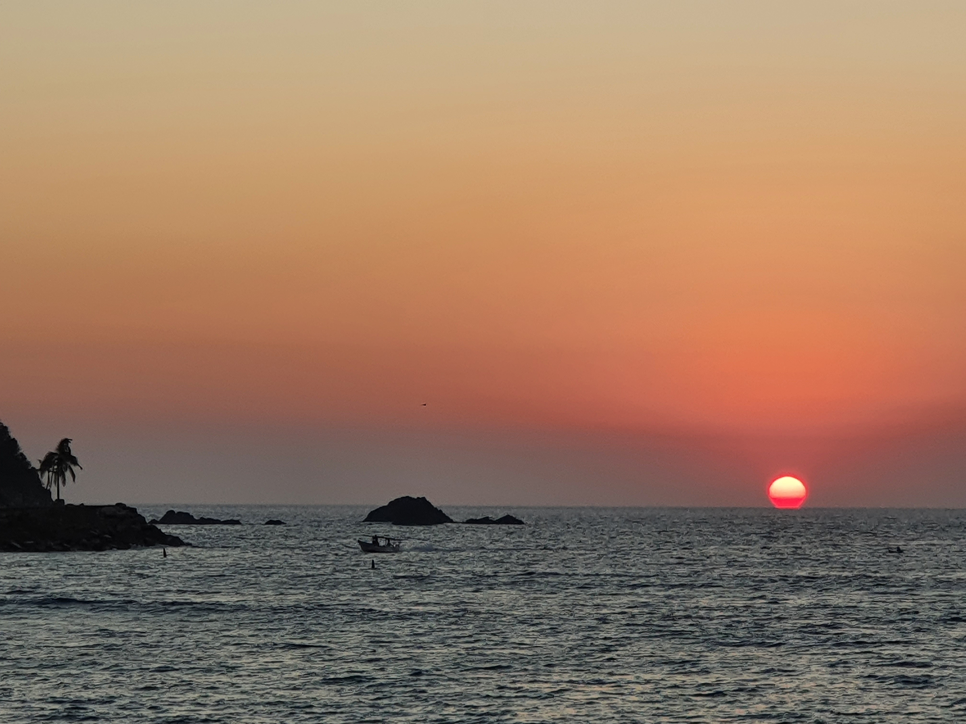 Restaurant Nacho image 3