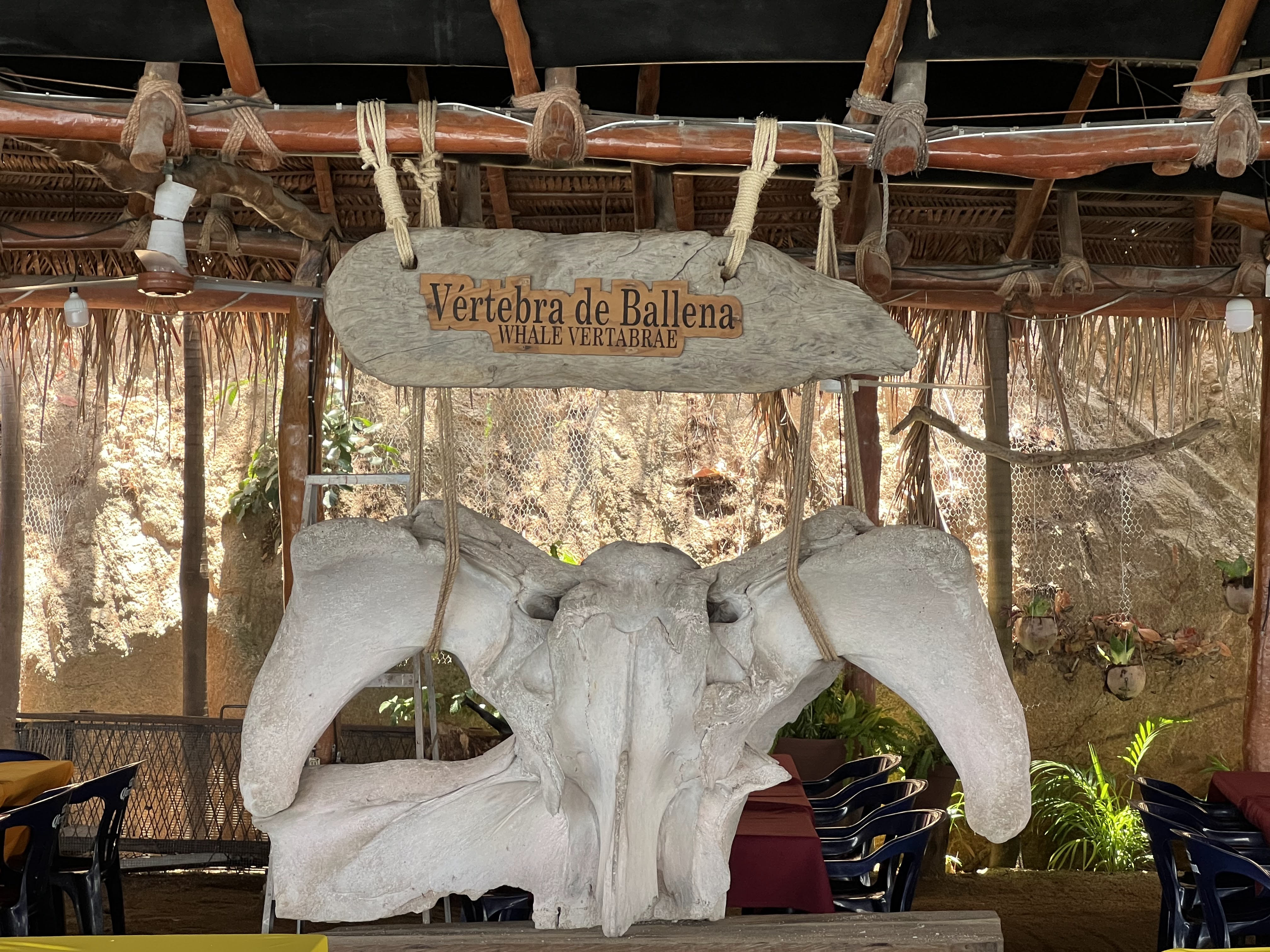 Restaurante Mary's image 6