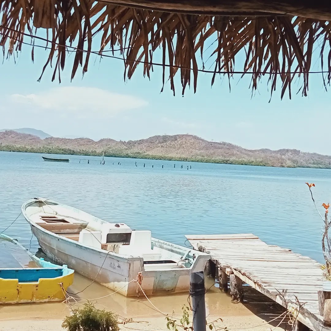 Restaurant Fortino's image 5