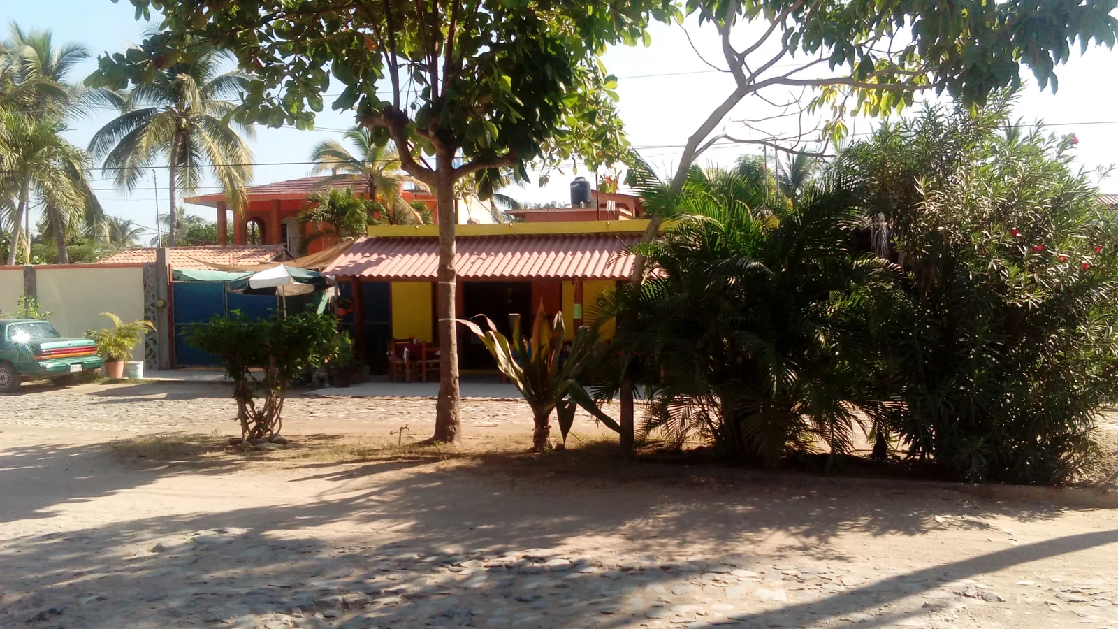 The Frog Restaurant image 10