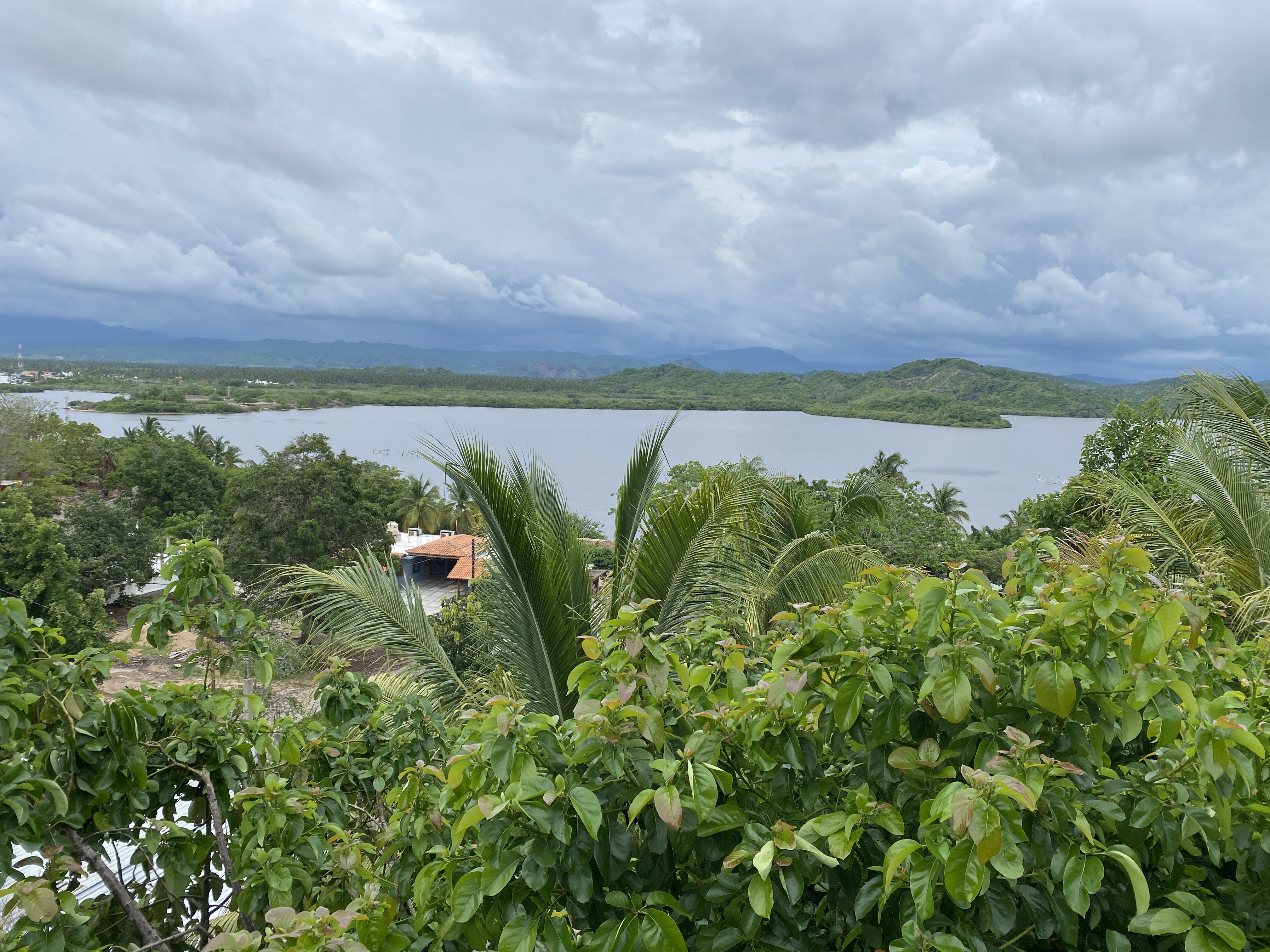 The View Restaurant image 3