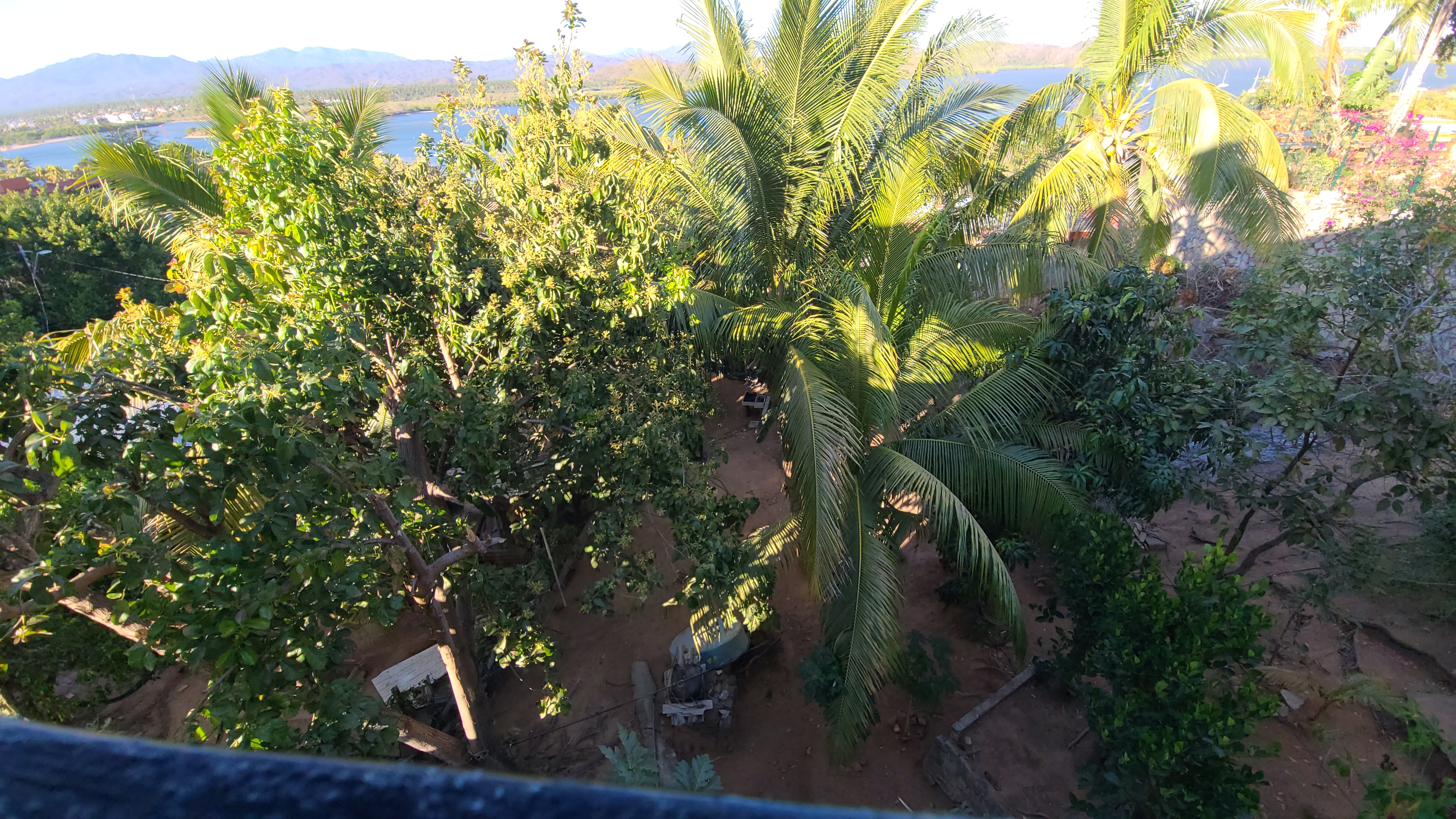 The View Restaurant image 7