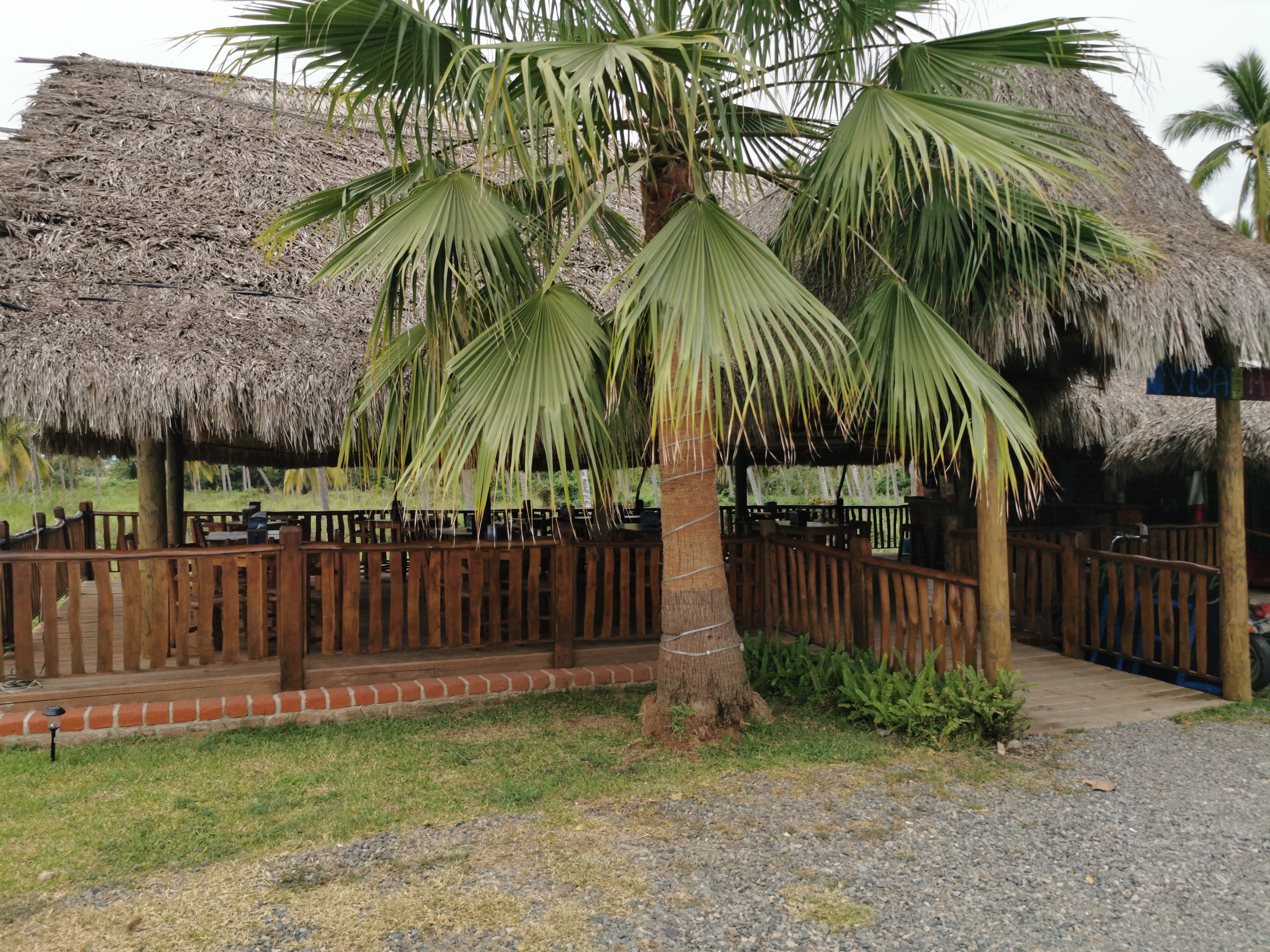 Palapa Grill image 1