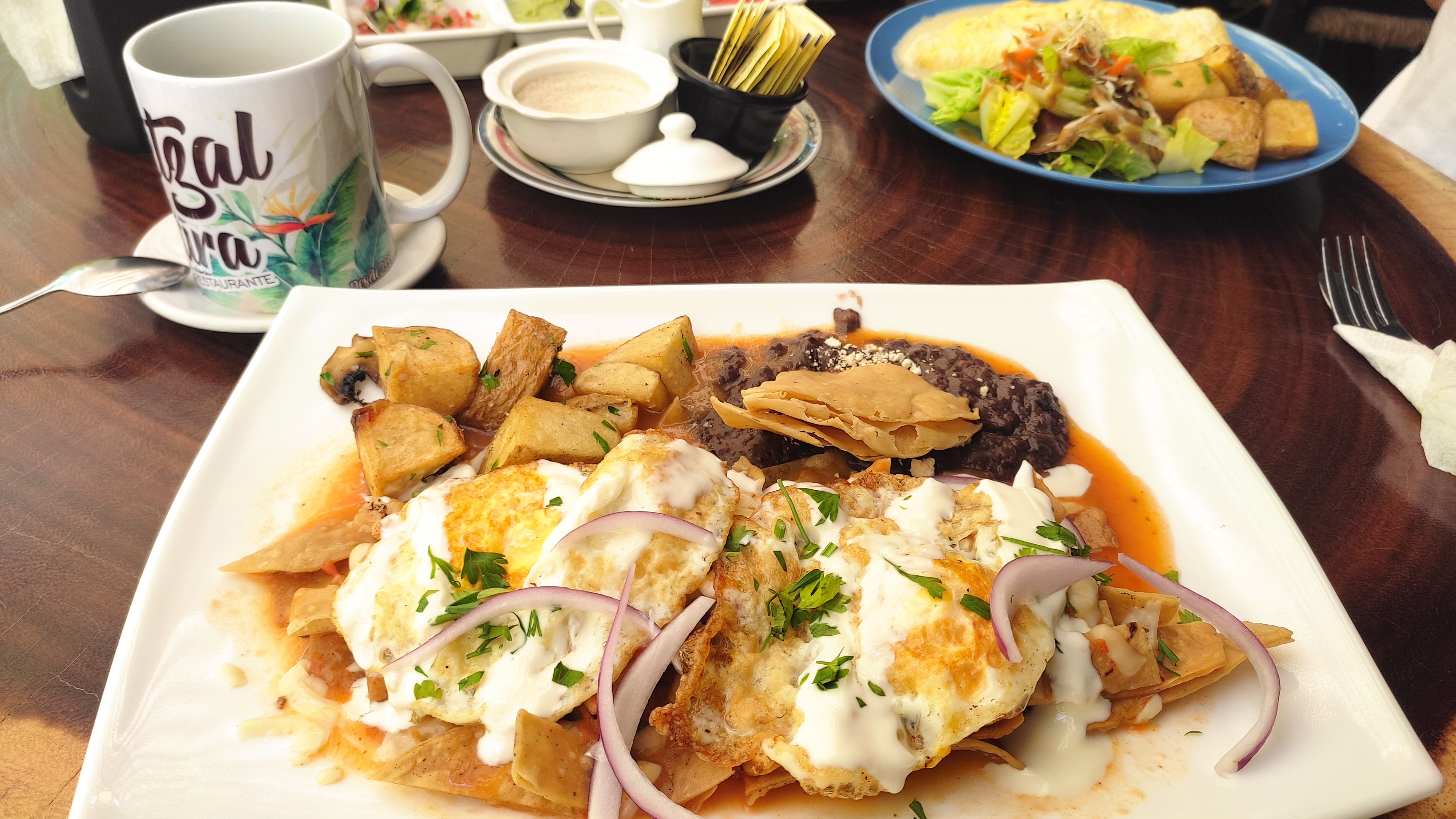 El Quetzal de Laura image 2