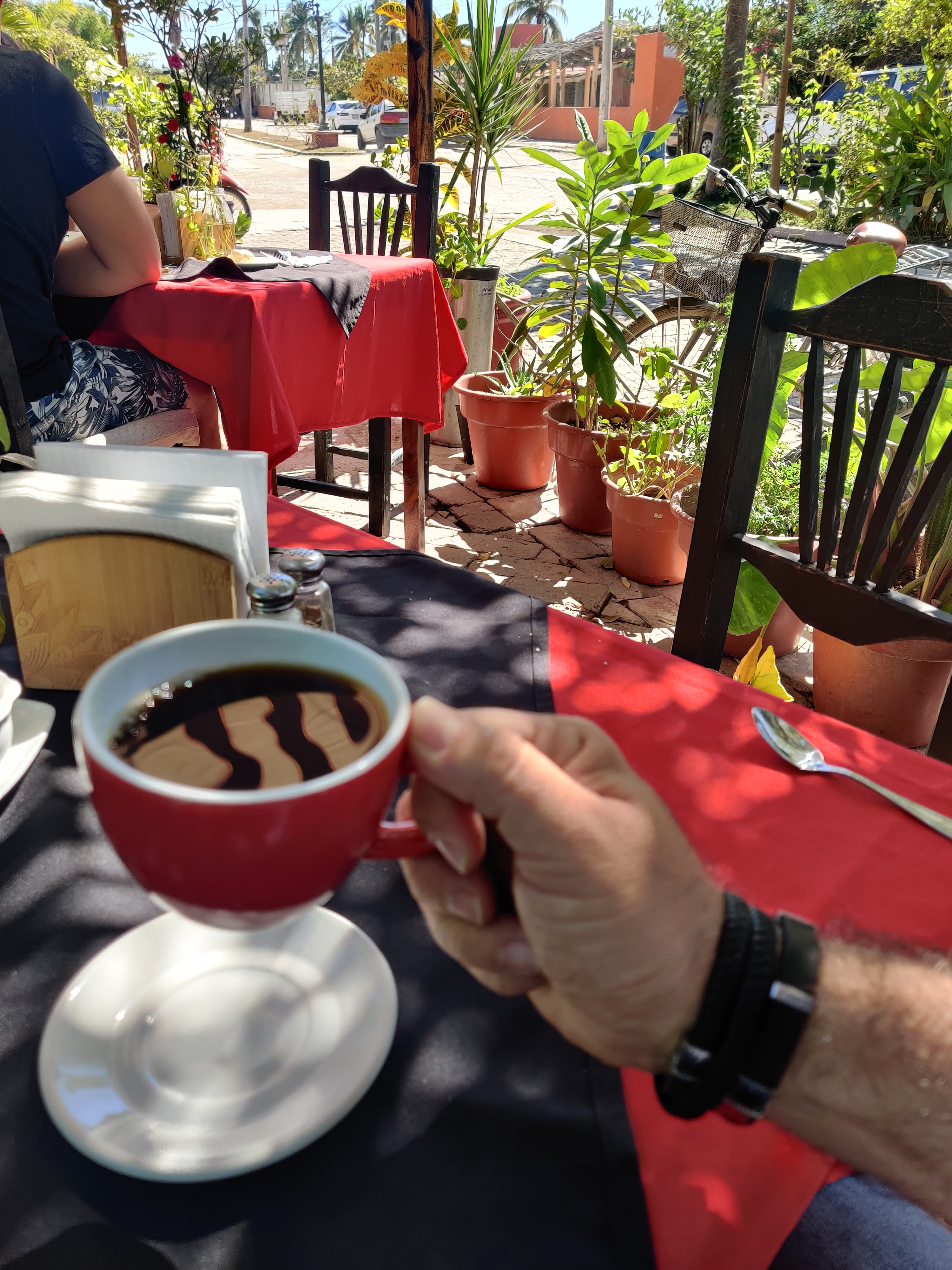 El Quetzal de Laura image 7