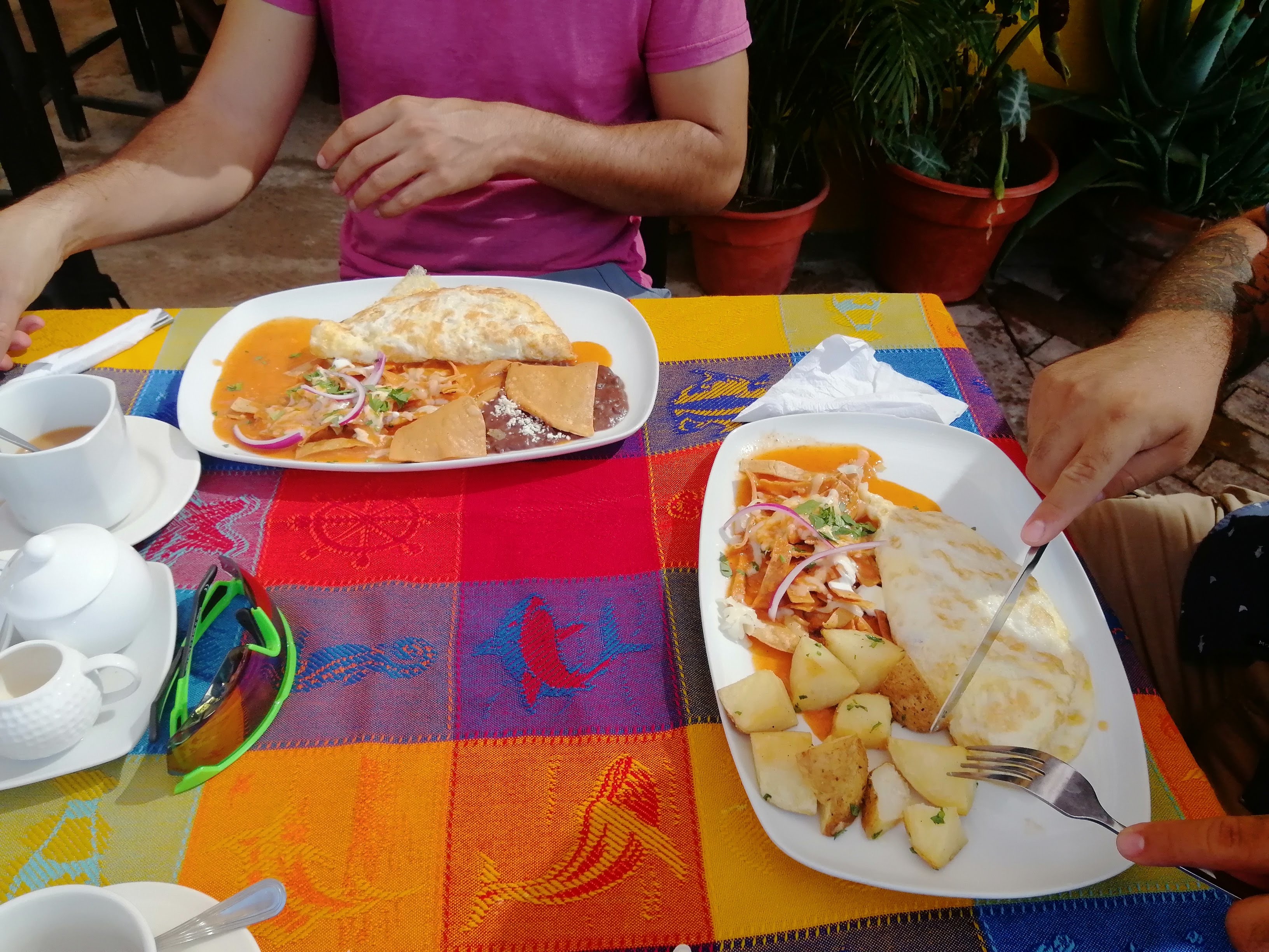 El Quetzal de Laura image 10