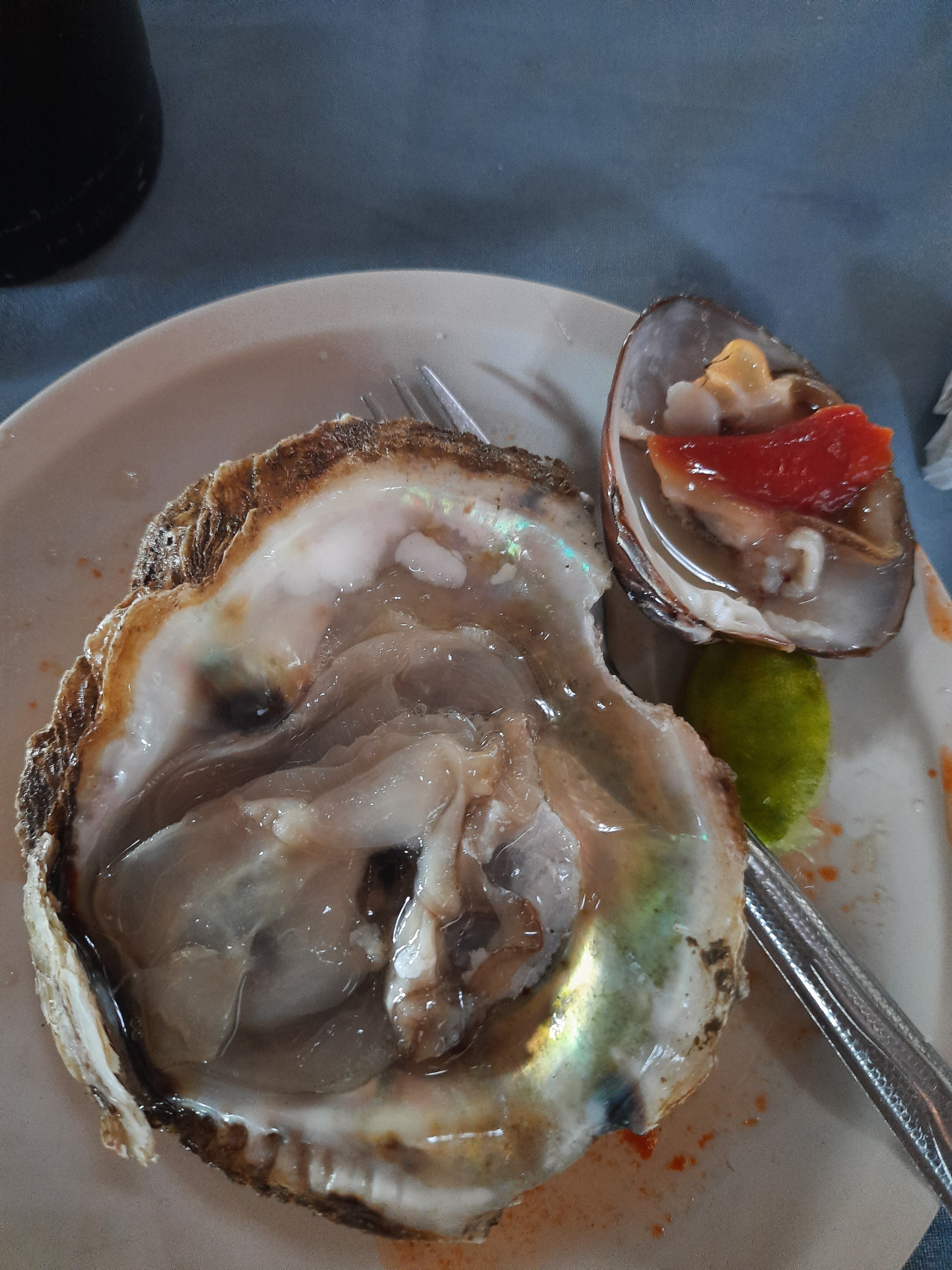 Restaurant Lidia image 9