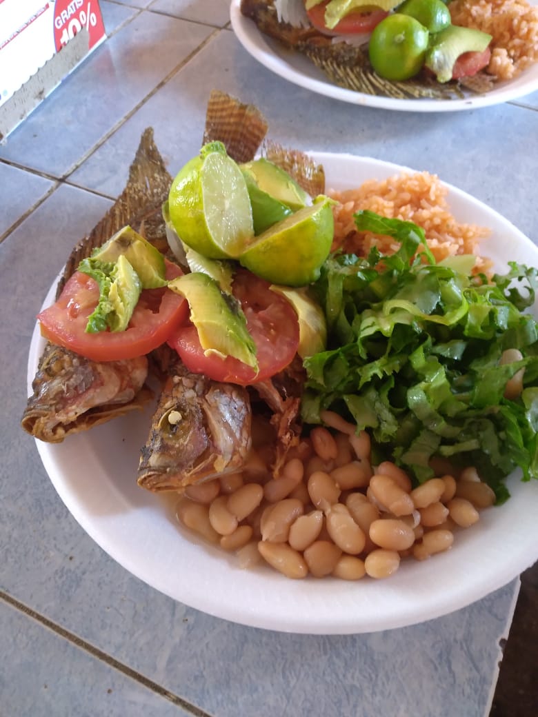 Cocina Economica "Sheila" image 3