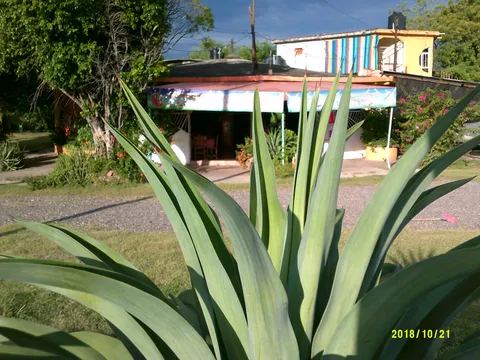 Restaurant Y Marisqueria Leslie image 6