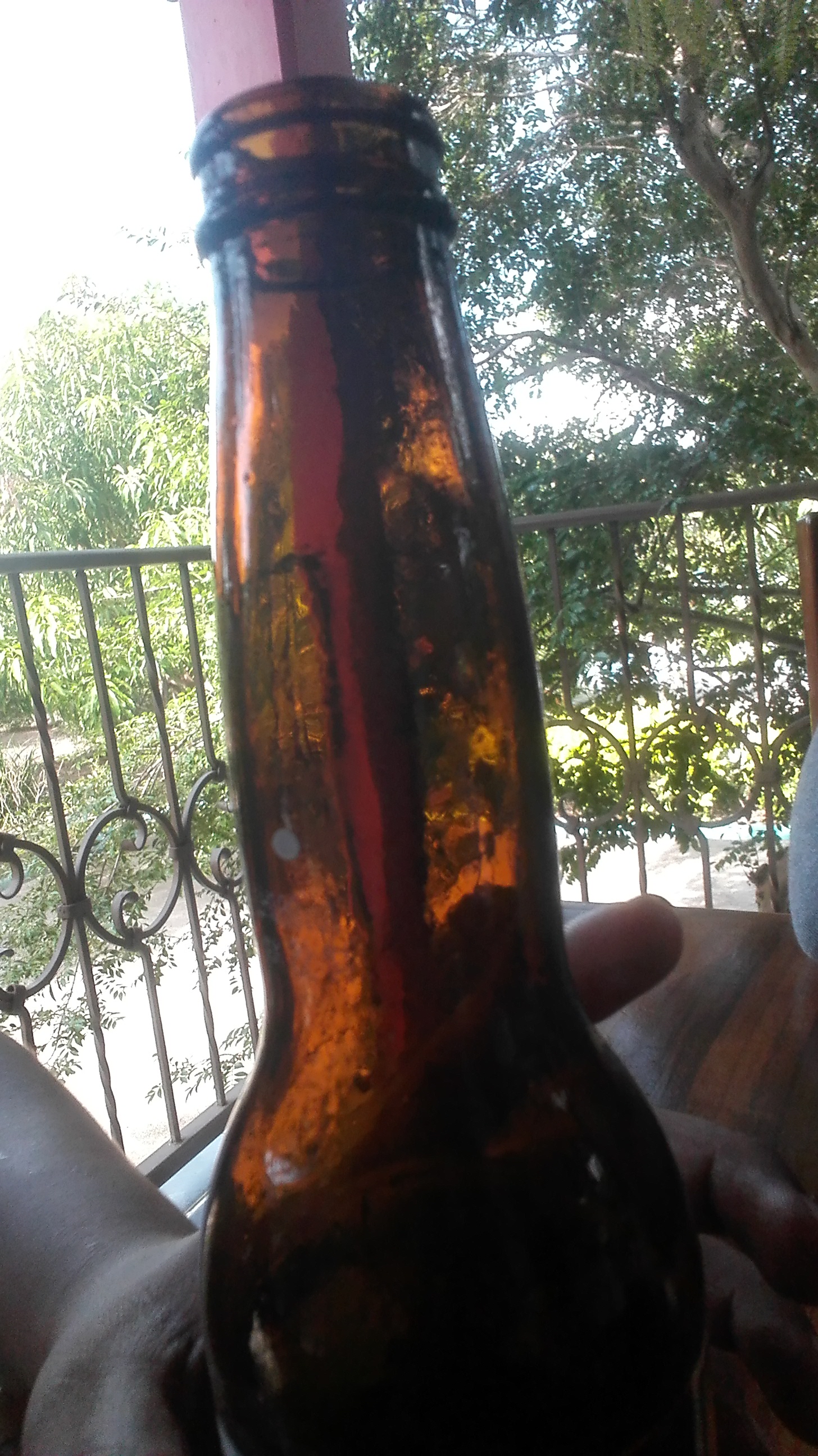 Restaurante y balneario: Las Guacamayas image 10