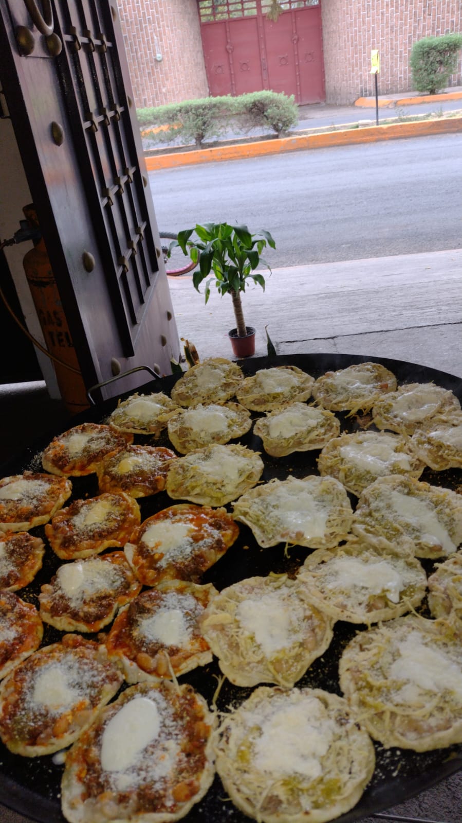 LOS GIRASOLES image 4