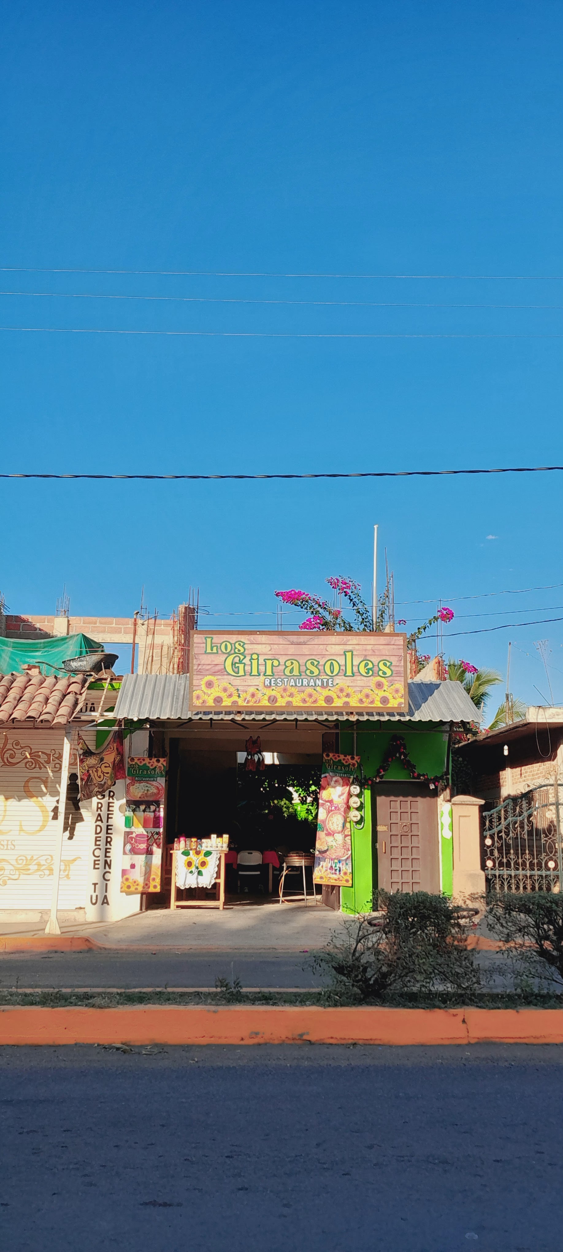 LOS GIRASOLES image 7