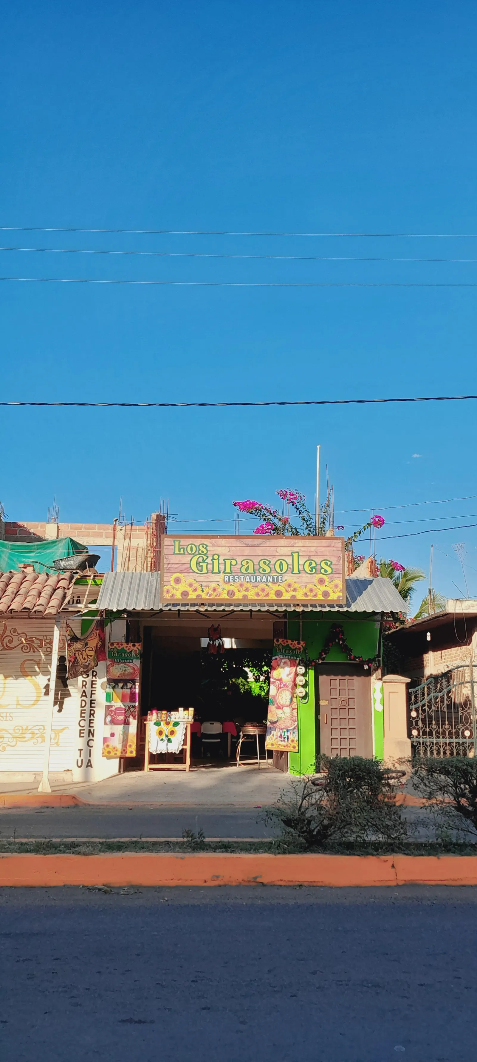 LOS GIRASOLES image 7
