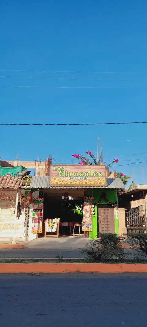 LOS GIRASOLES image 7